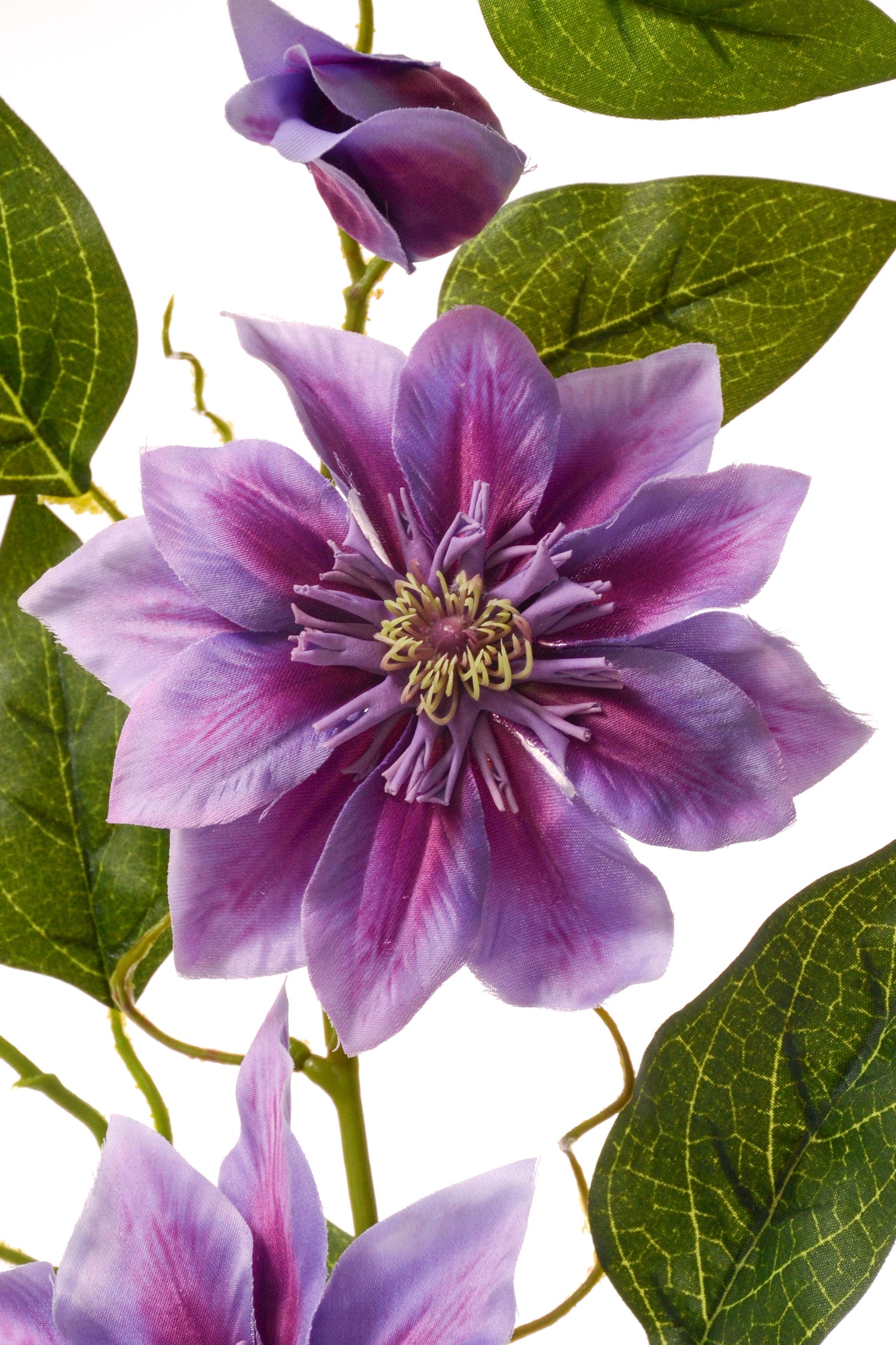 41" Silk Clematis Spray Purple