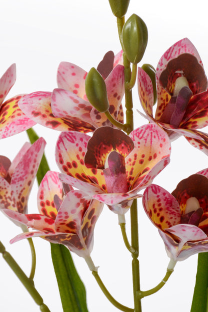 19" Artificial Mini Cymbidium Bush Lavender/Burgundy