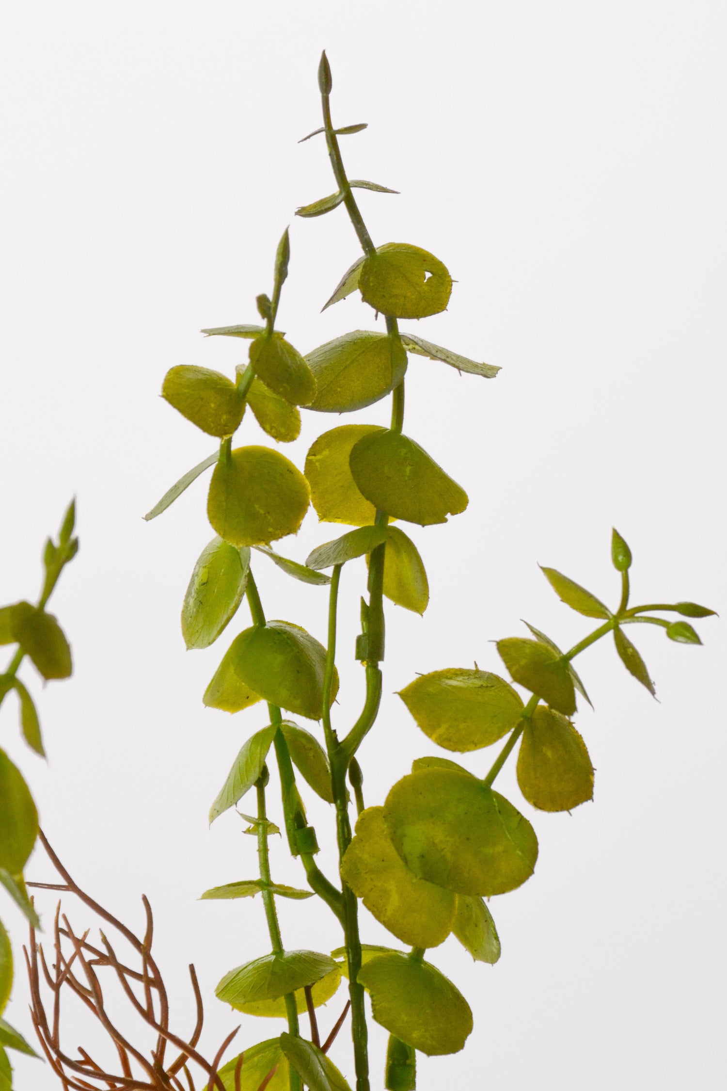 16" Artificial Eucalyptus Bush Dark Green