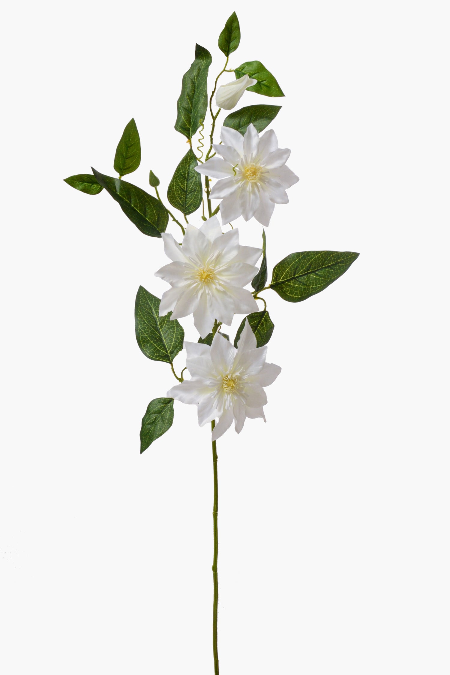 41" Silk Clematis Spray White