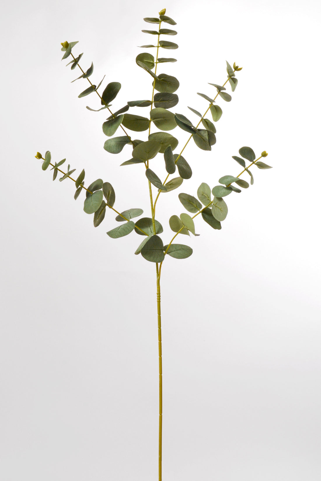 36"  Eucalyptus Spray Green