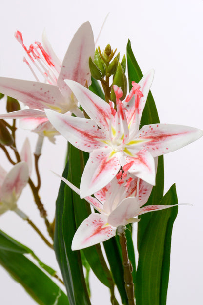 18" Artificial Cymbidium Orchid Bush Pink