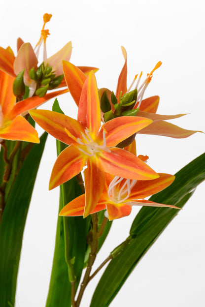 18" Artificial Cymbidium Orchid Bush Orange