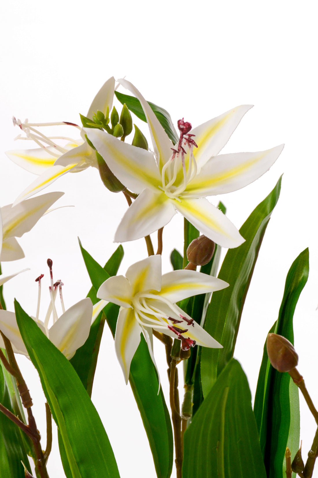 18" Artificial Cymbidium Orchid Bush White