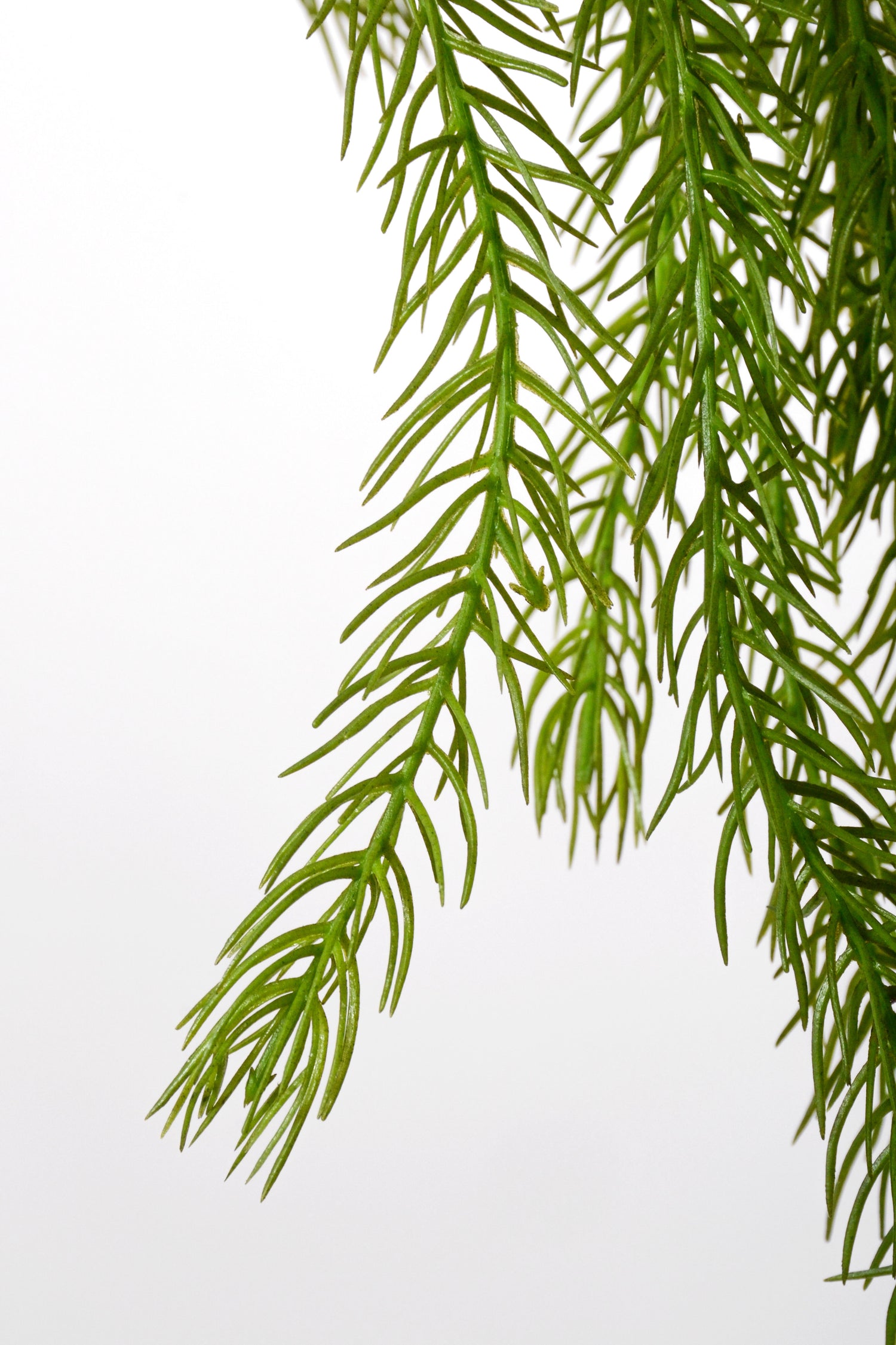 46" Artificial Clubmoss Hanging Green