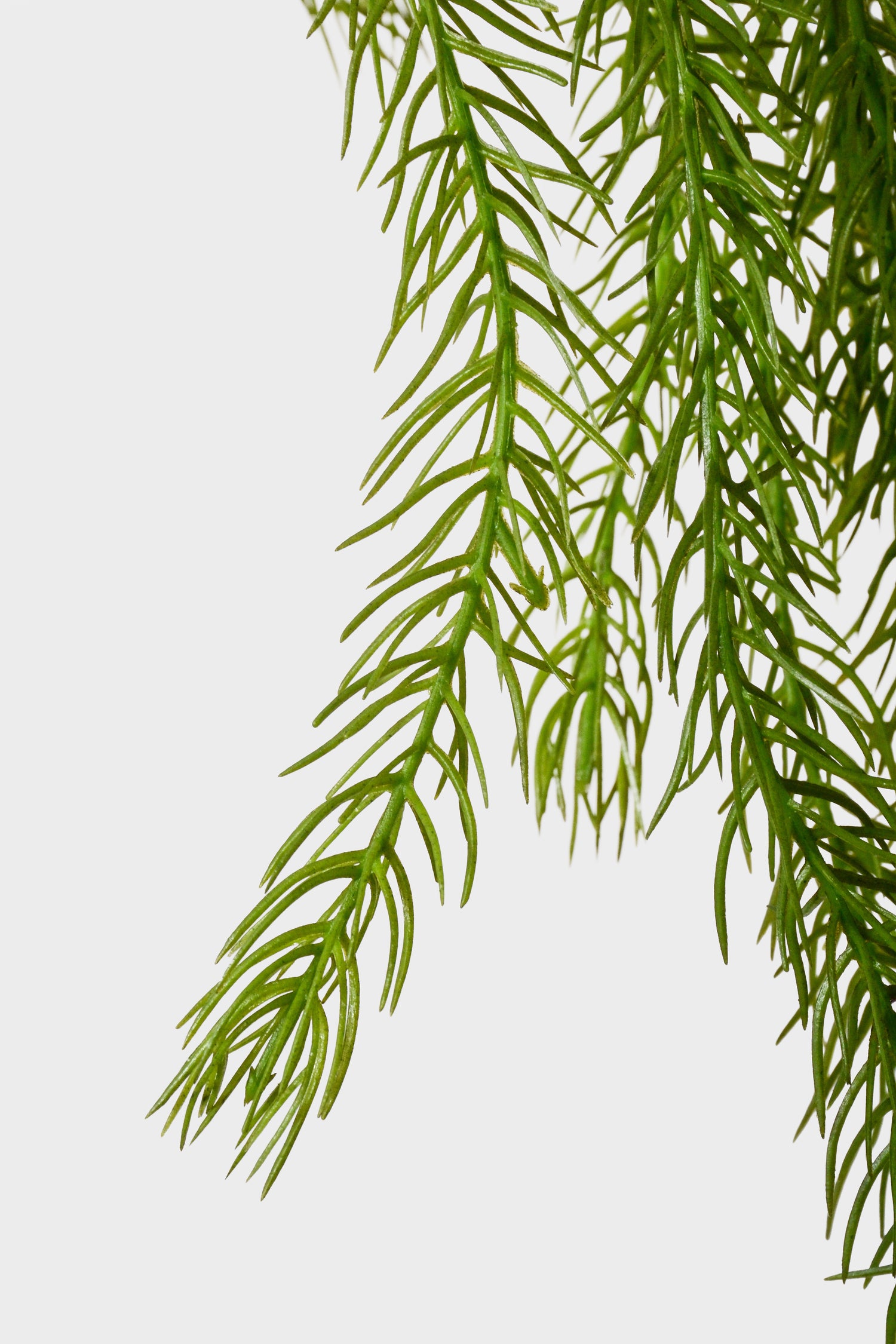 46" Artificial Clubmoss Hanging Green