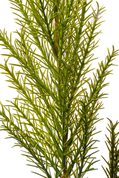 29" Clubmoss Spray Green