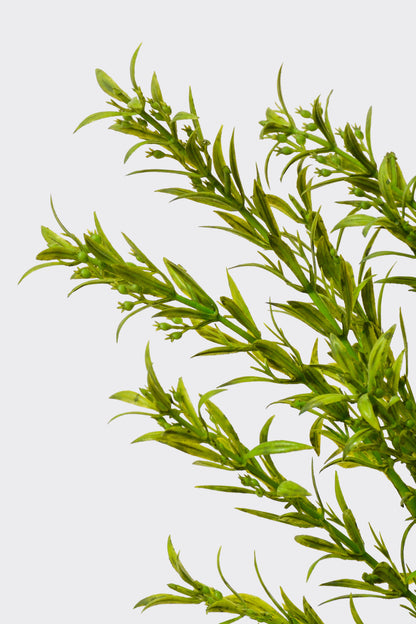 15.75" Thyme Bush Green