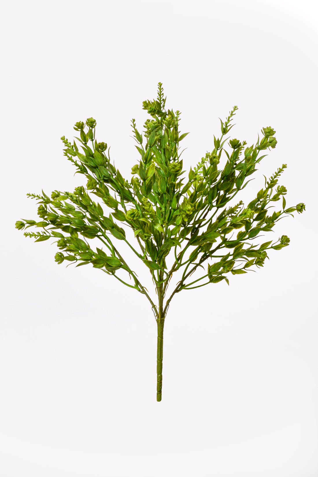 15&quot; Ruscus Mix Bush Green