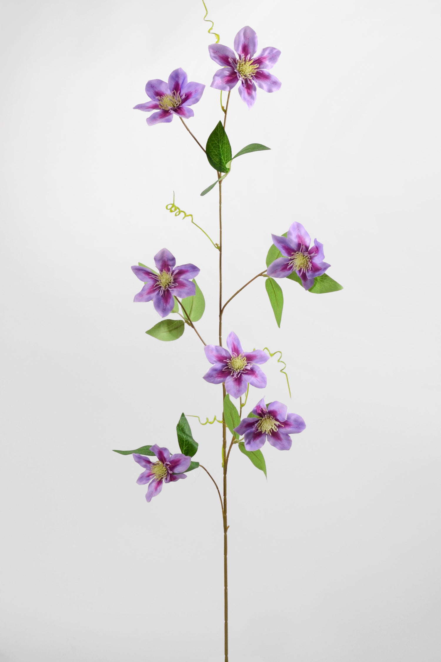 41" Silk Clematis Spray Purple