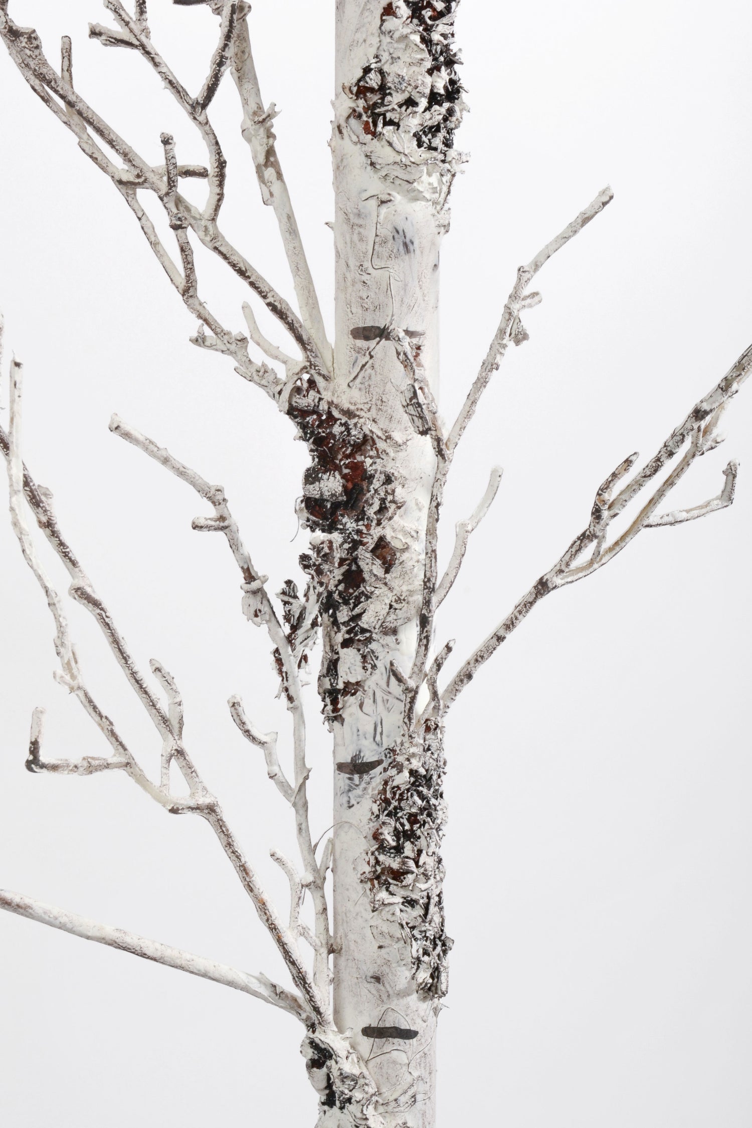 41" Birch Branch Natural