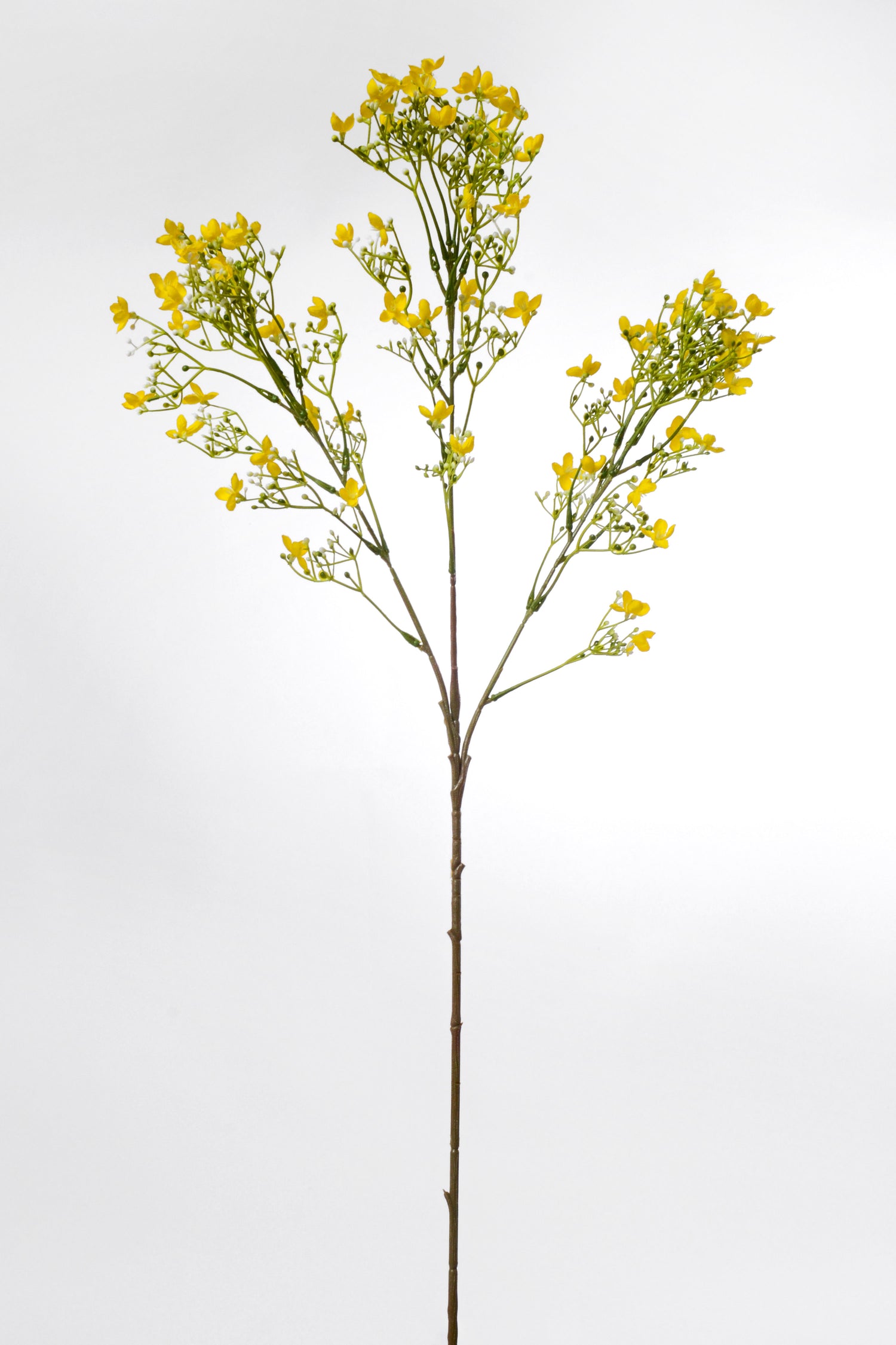 29.5" Silk Waxflower Spray Yellow