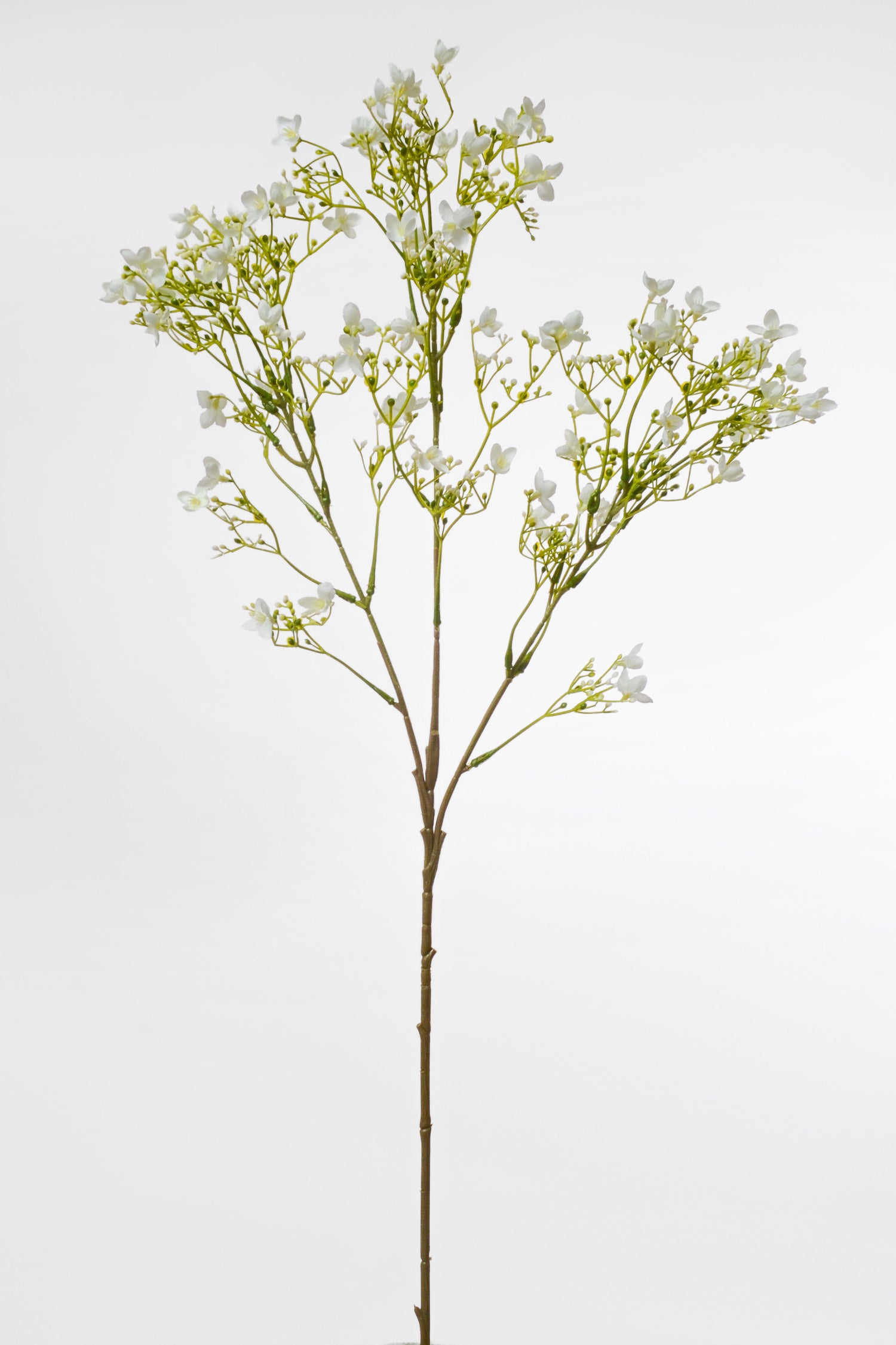 29.5" Silk Waxflower Spray White