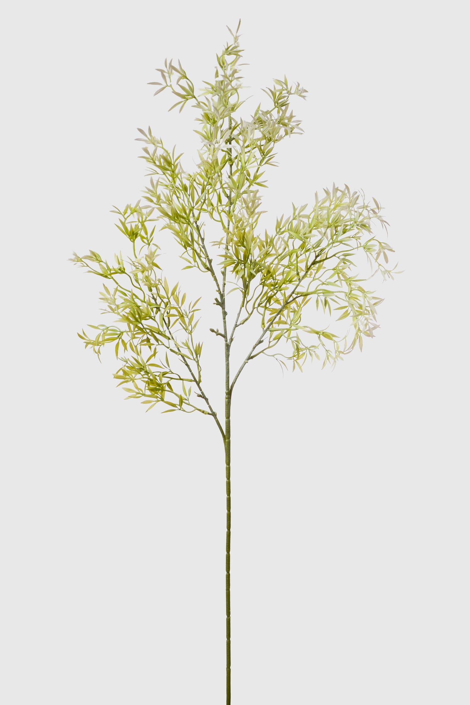 39.5" Artificial Ambrosia Leaf Spray Green/White