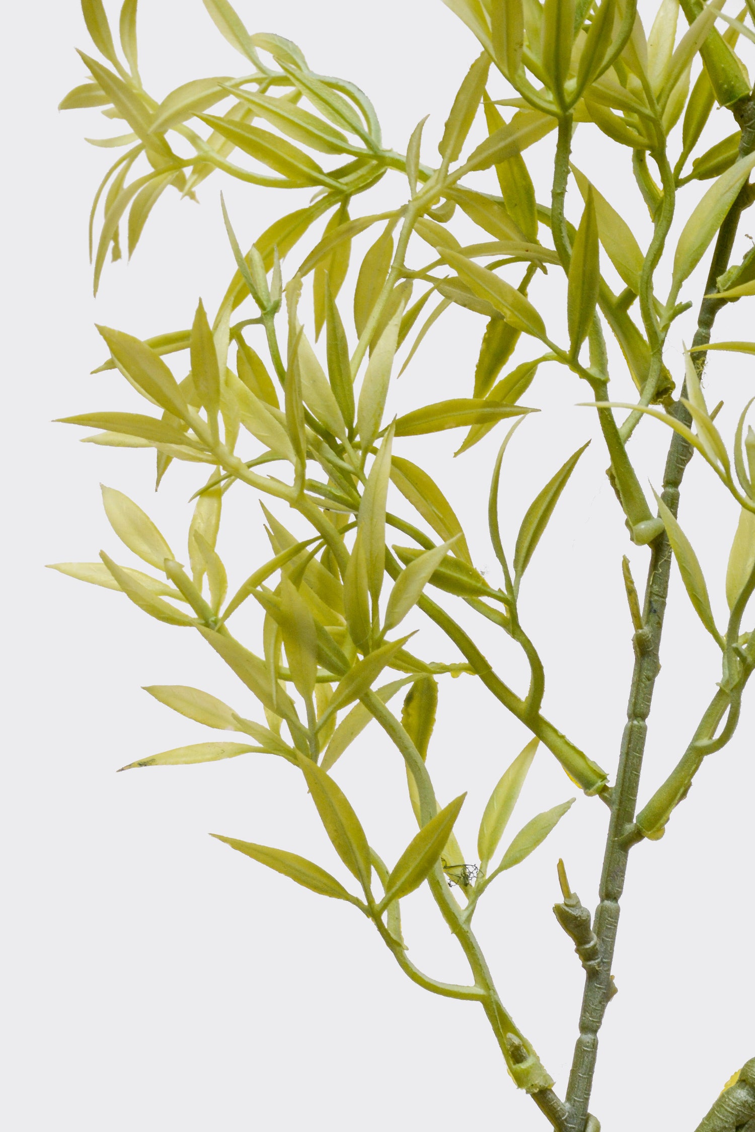 39.5" Artificial Ambrosia Leaf Spray Green/White
