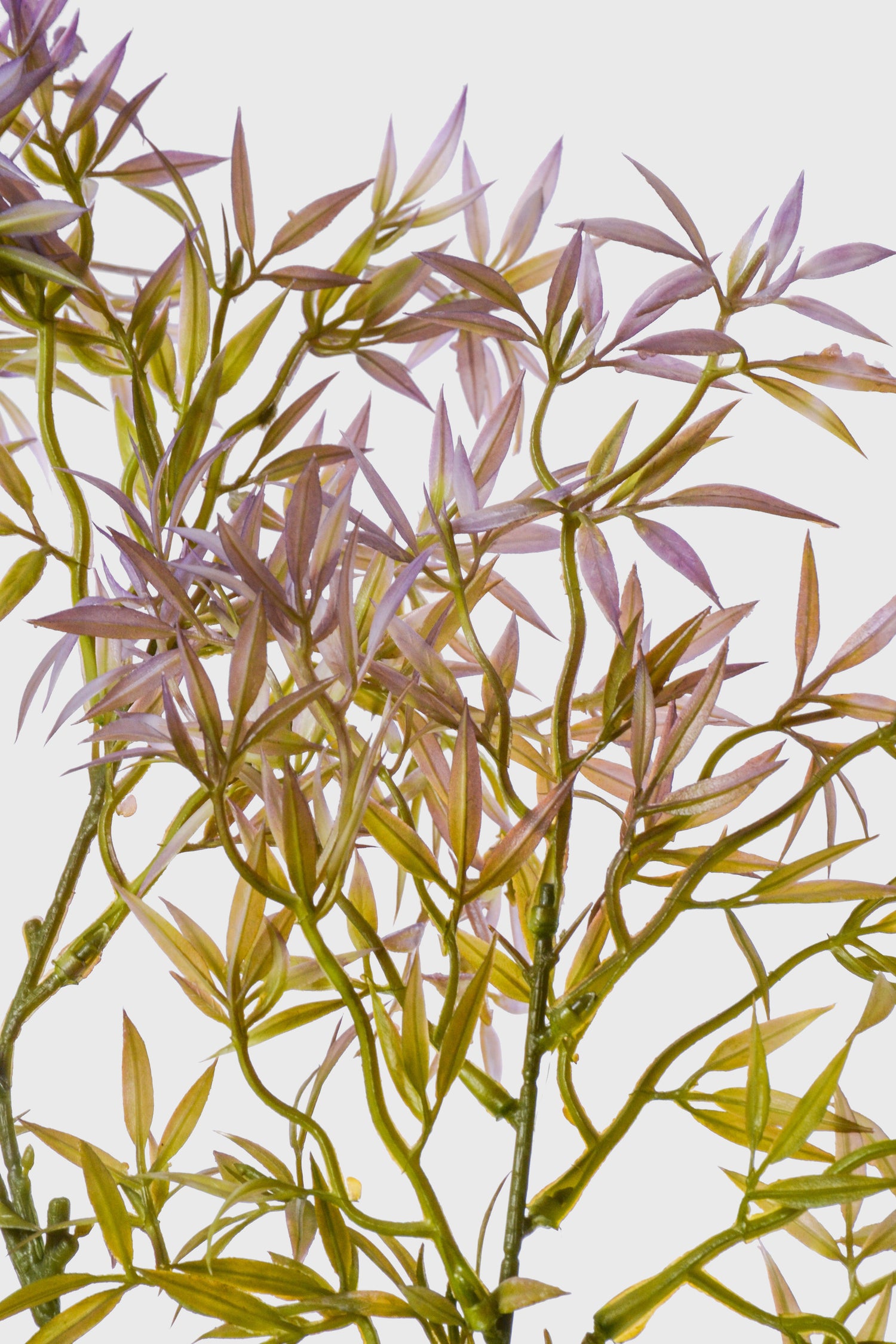 39.5" Artificial Ambrosia Leaf Spray Green/Lavender