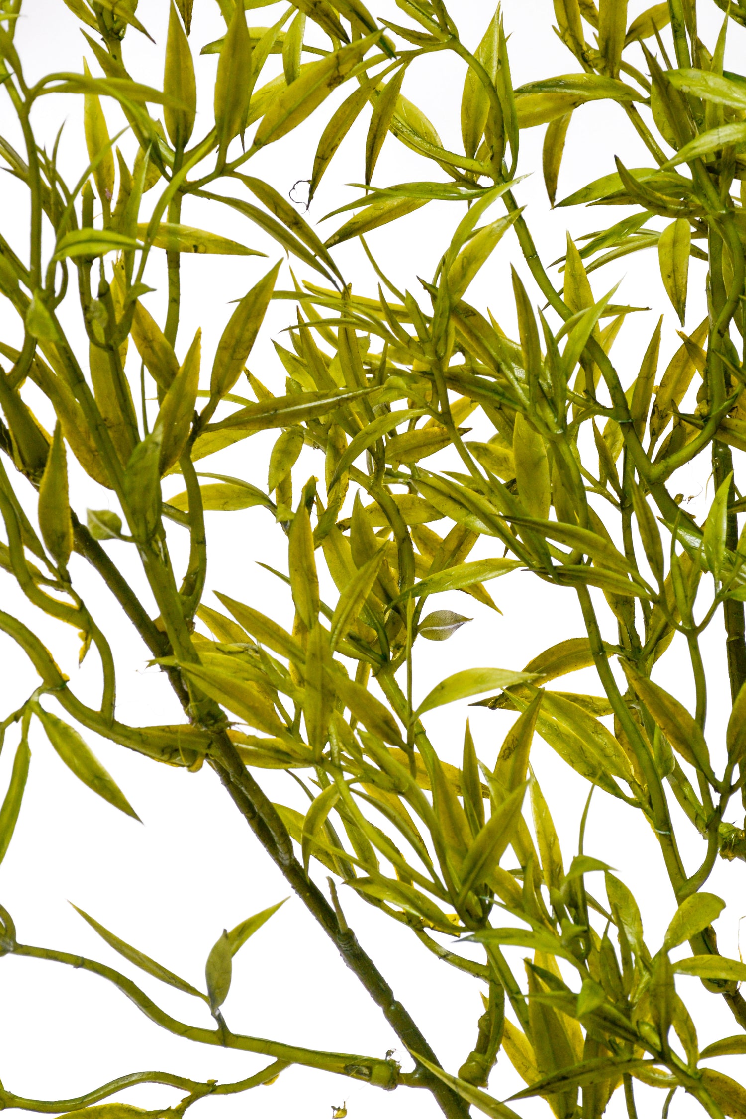 39.5" Artificial Ambrosia Leaf Spray Green