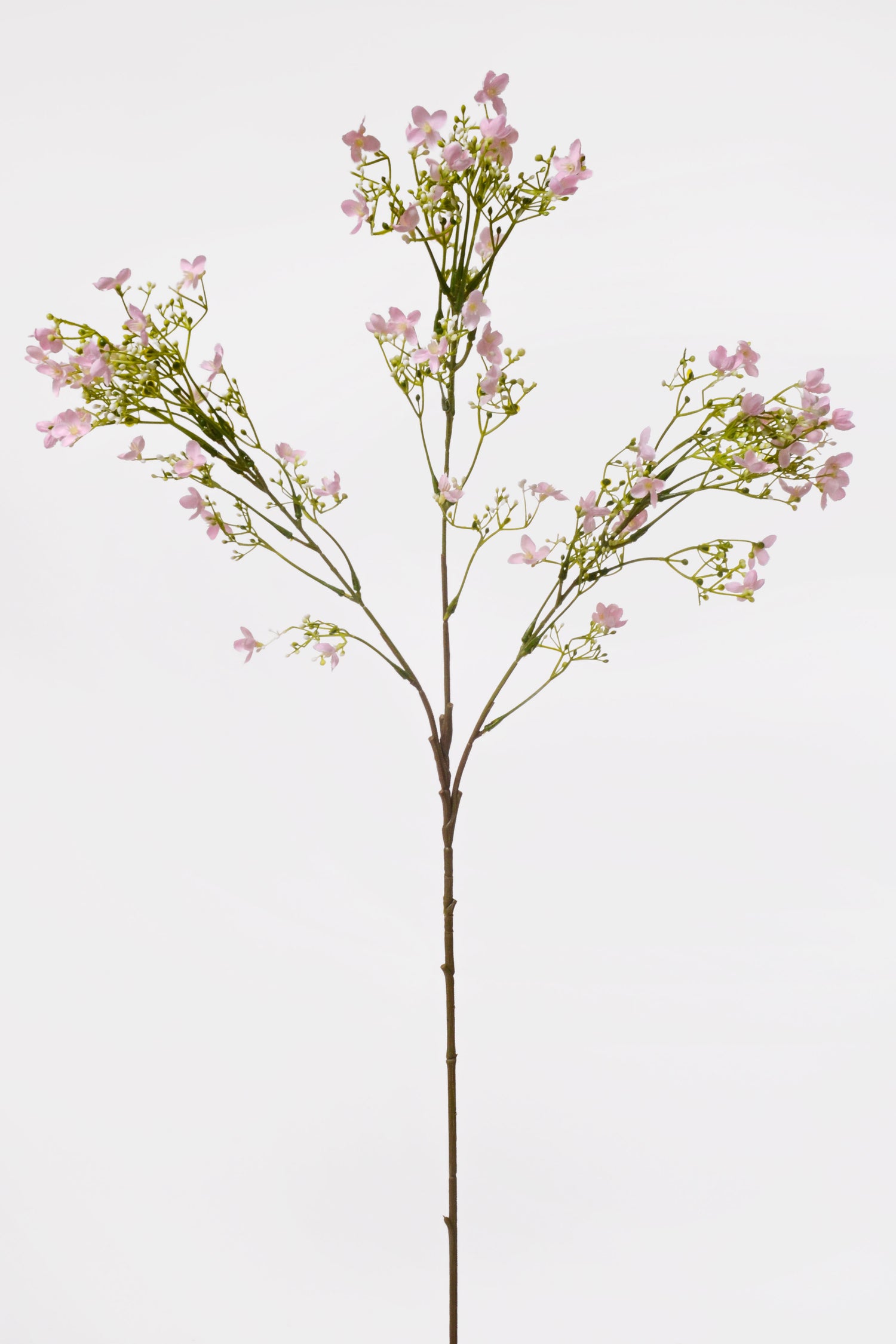 29.5" Silk Waxflower Spray Pink