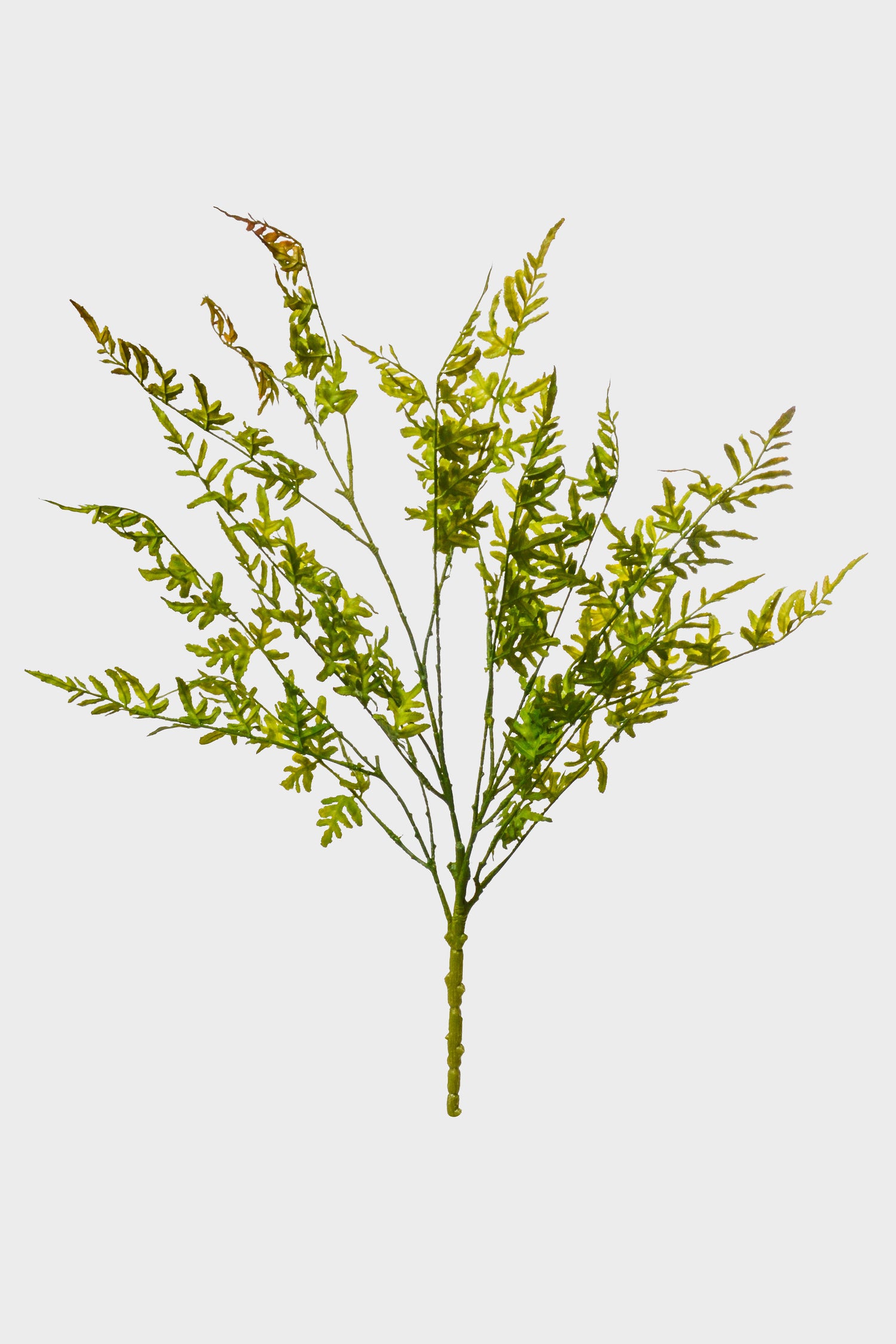 29" Artificial Pteridaceae Bush Green