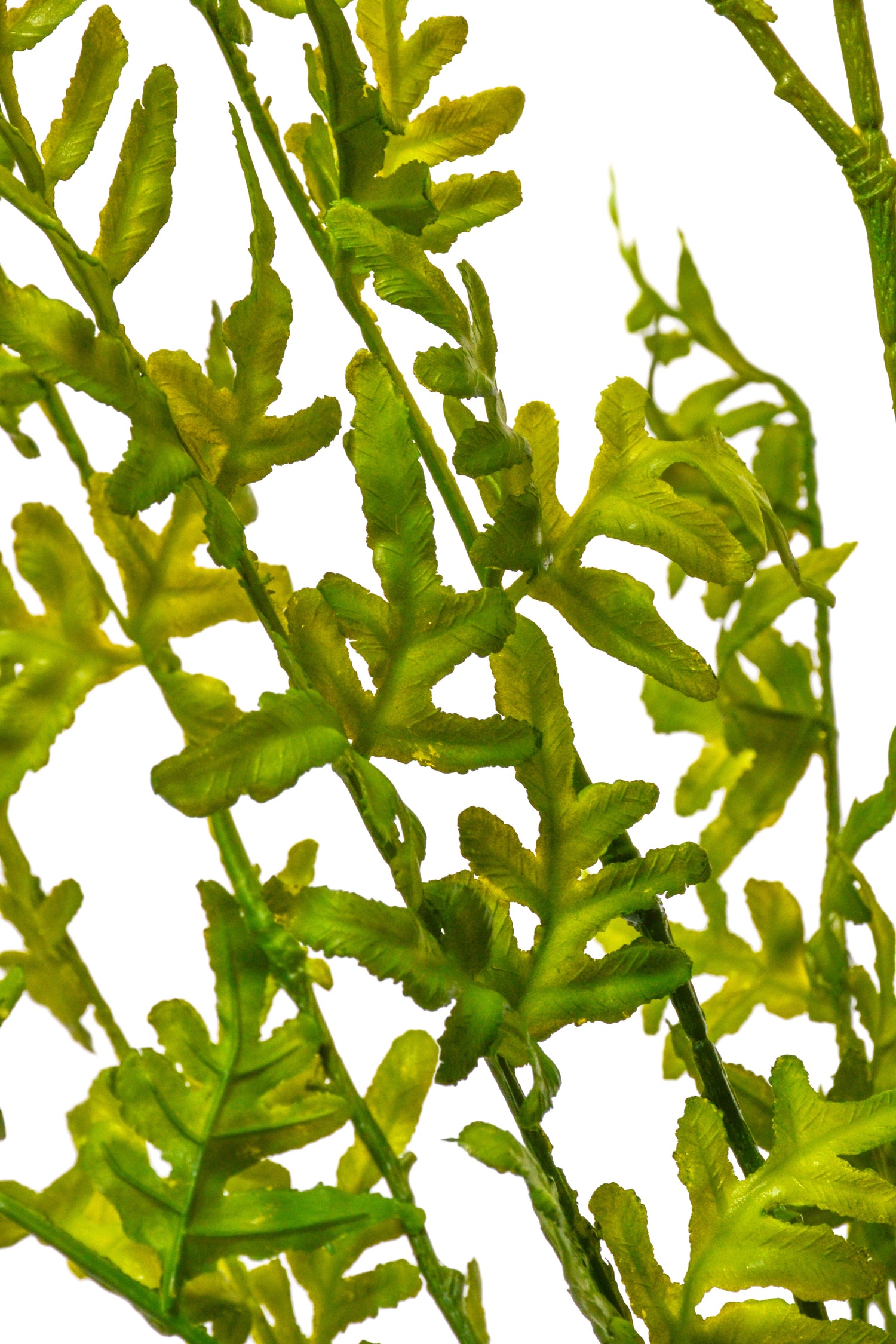 29&quot; Artificial Pteridaceae Bush Green