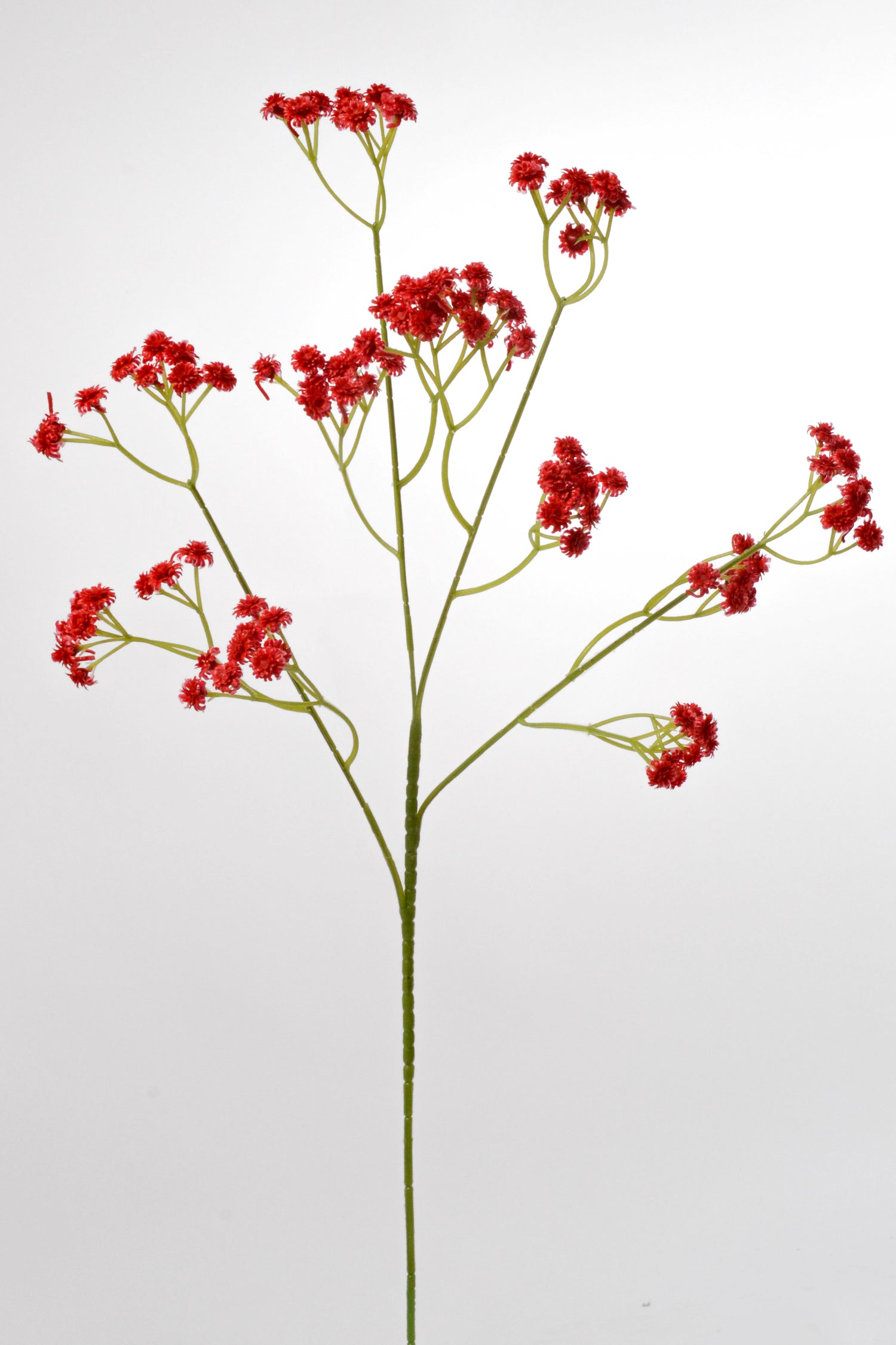 24" Artificial Baby&