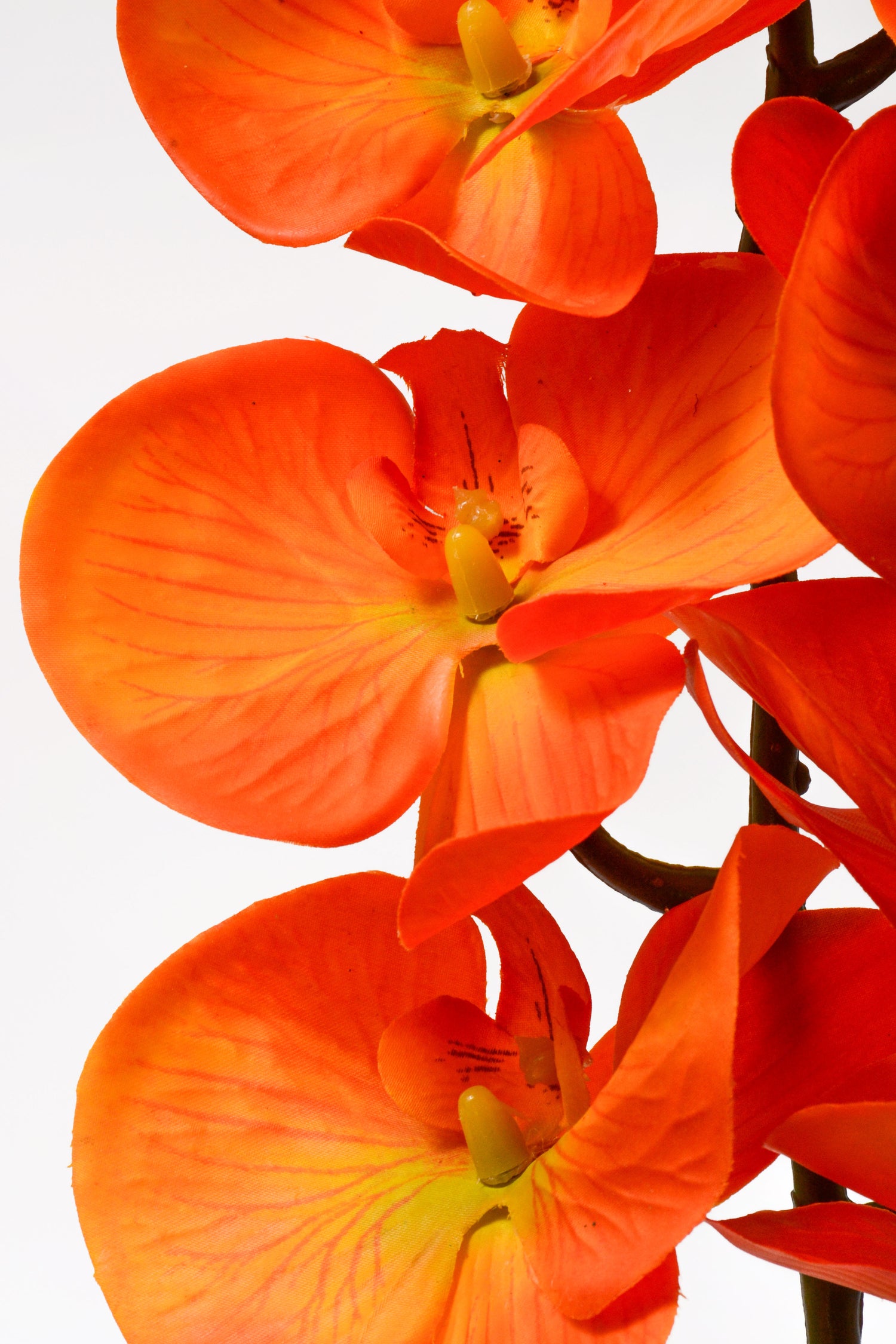 39.5" Silk Phalaenopsis Spray Yellow Orange
