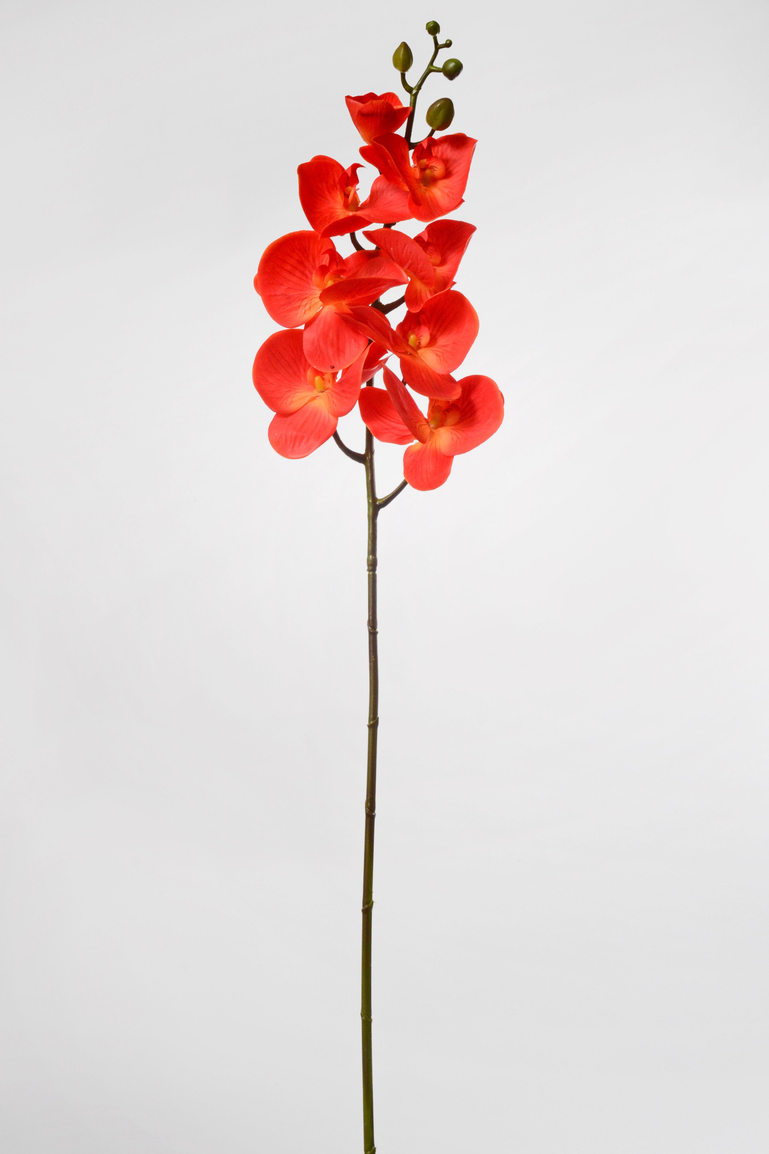 39.5" Silk Phalaenopsis Spray Orange