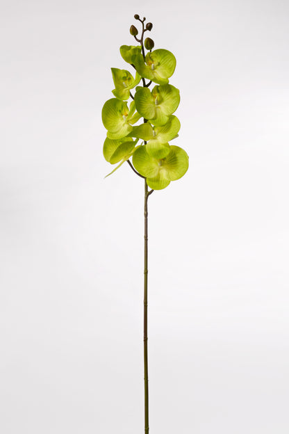 39.5" Silk Phalaenopsis Spray Green
