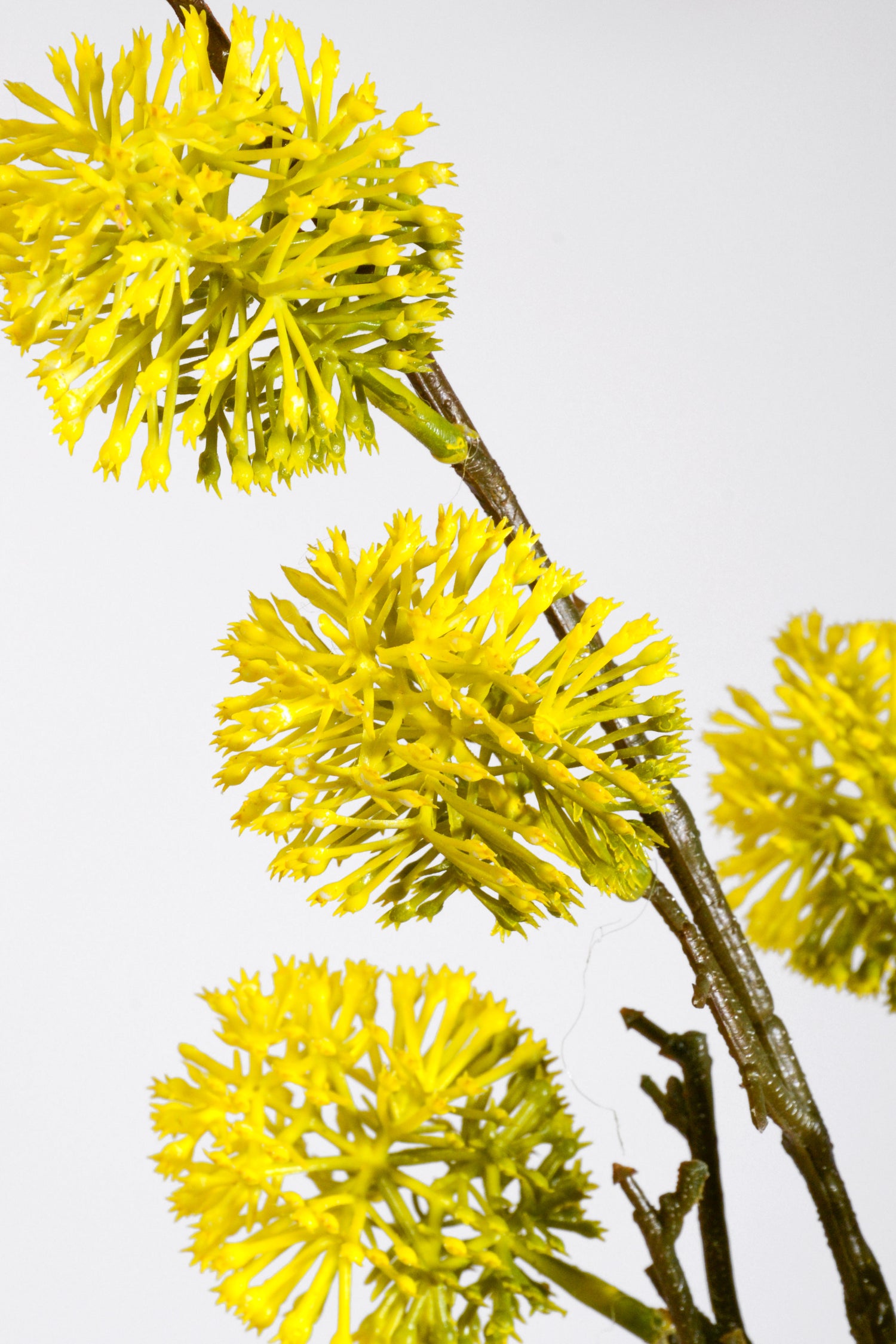 48.5" Artificial Thistle Spray Yellow/Green