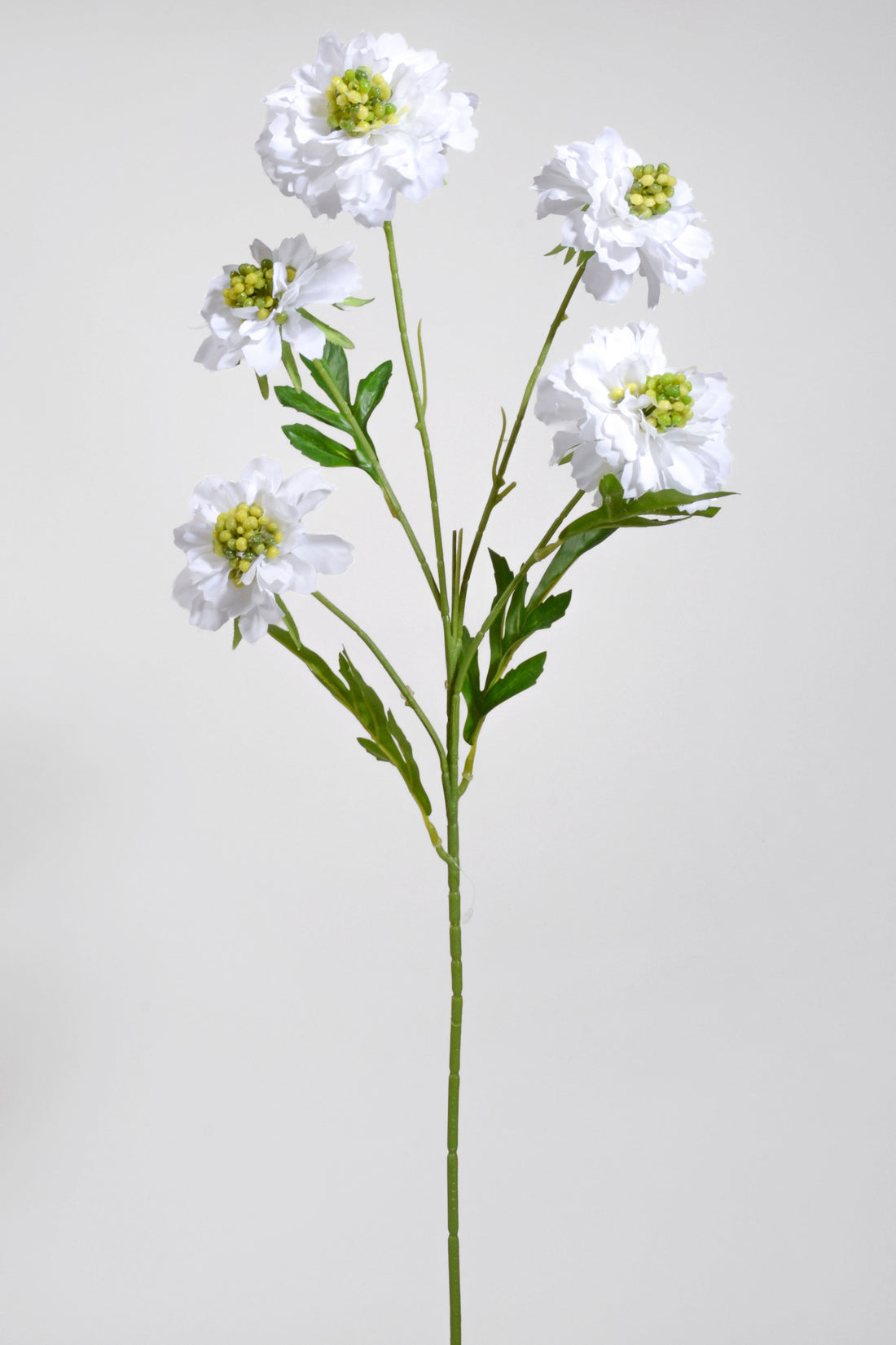 25.5&quot; Silk Aster Spray White