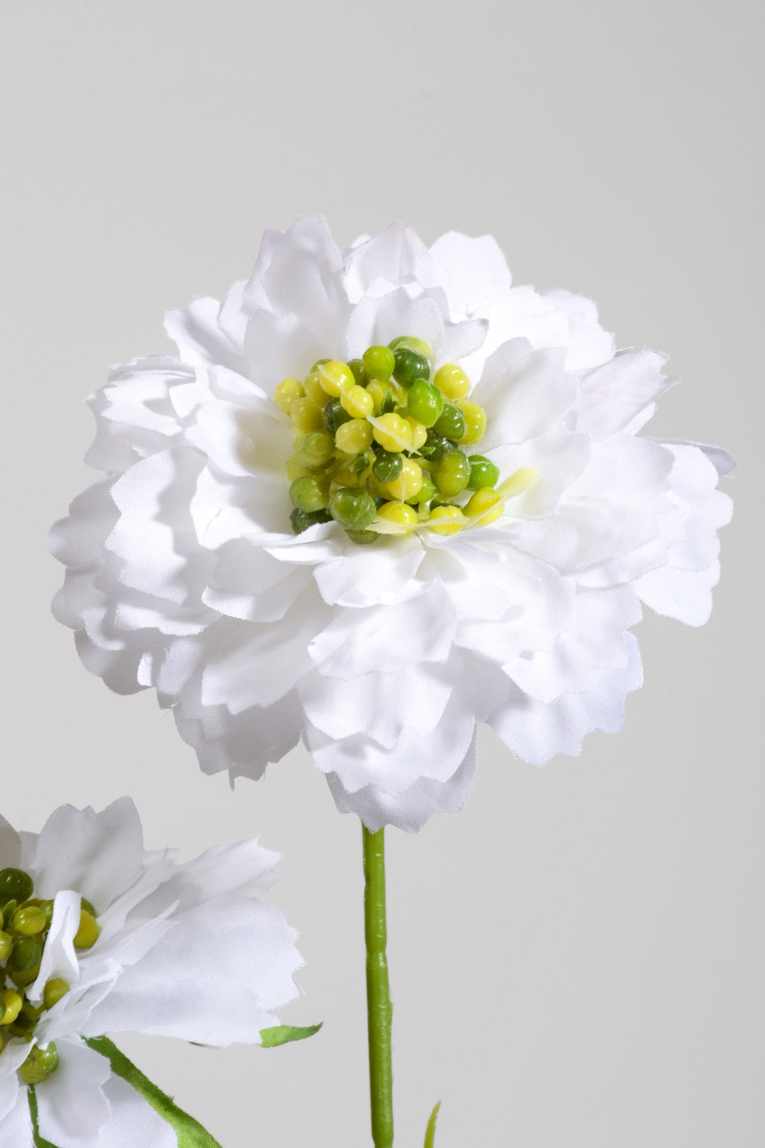 25.5&quot; Silk Aster Spray White