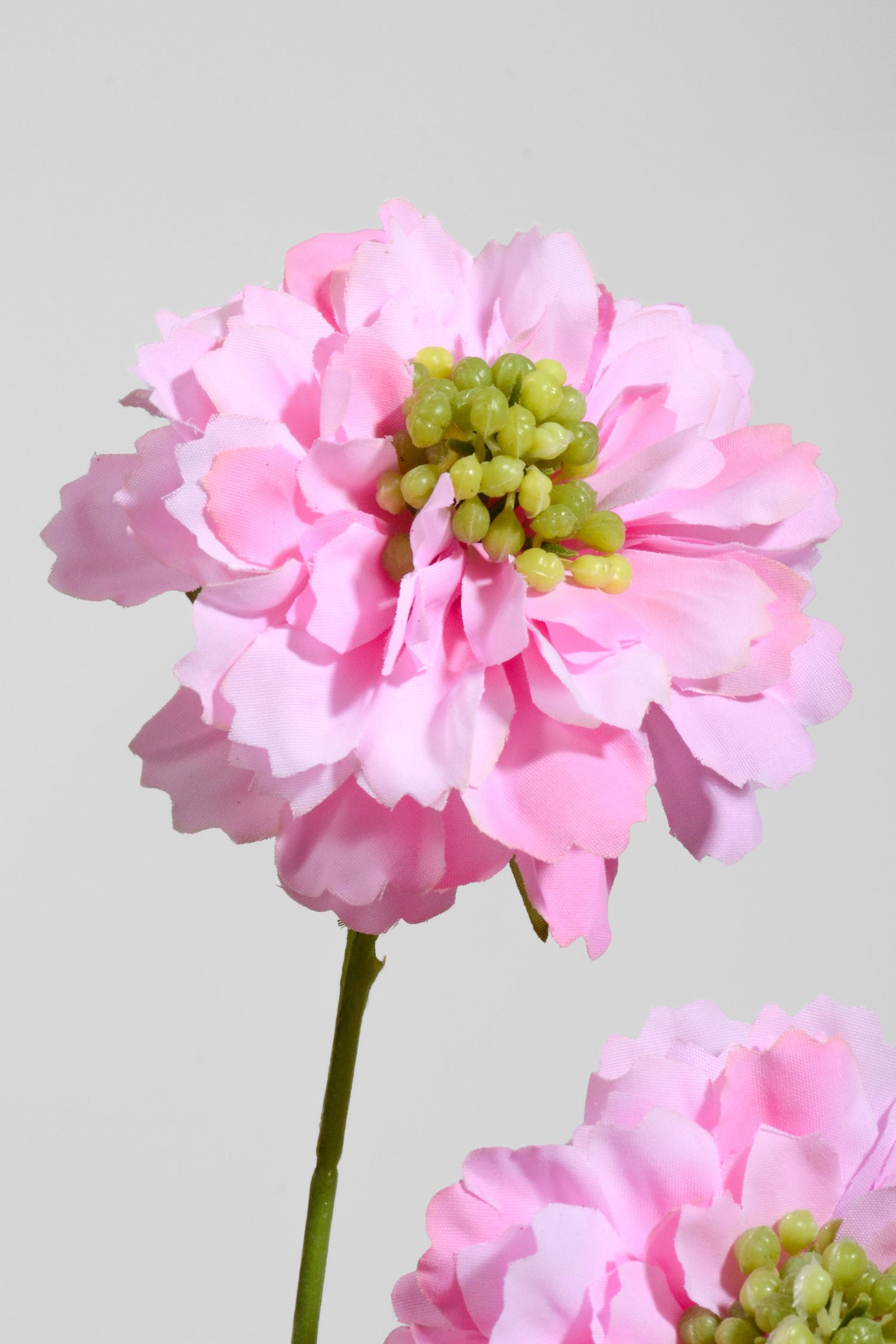 25.5" Silk Aster Spray Pink