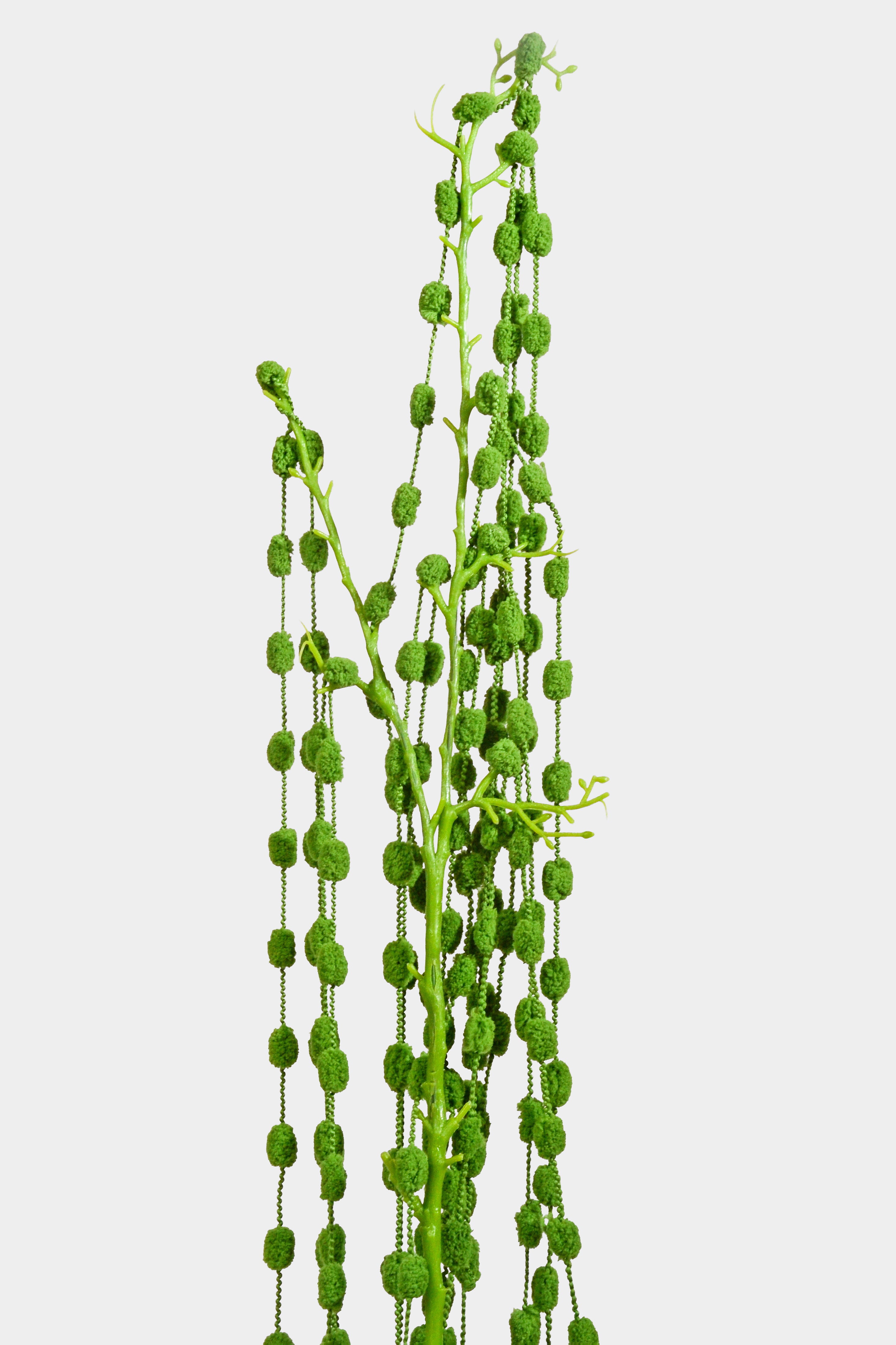 50" Bead Succulent Hanging Spray Green