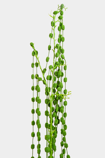50" Bead Succulent Hanging Spray Green
