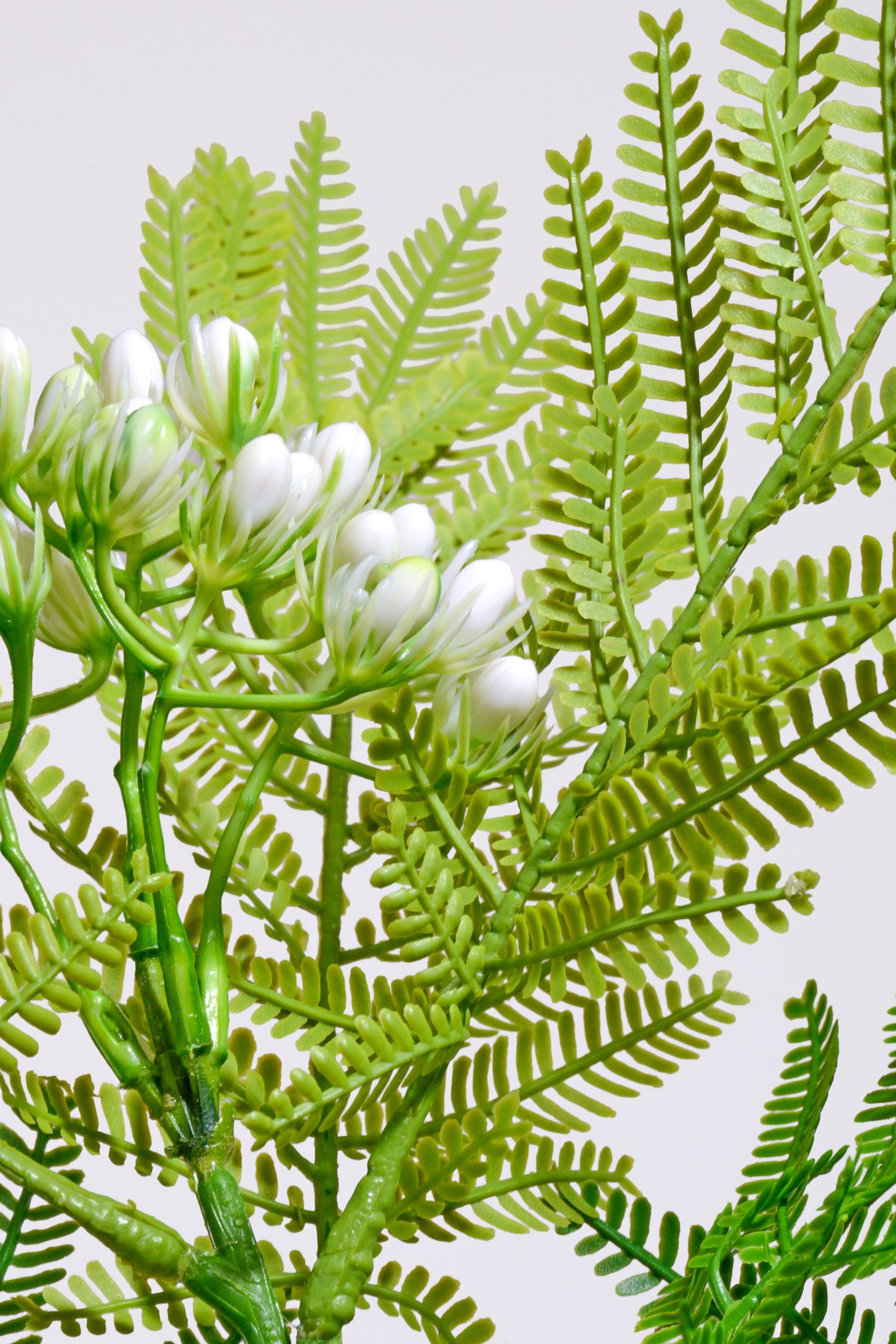 37" Artificial Mimosa Spray Green/White