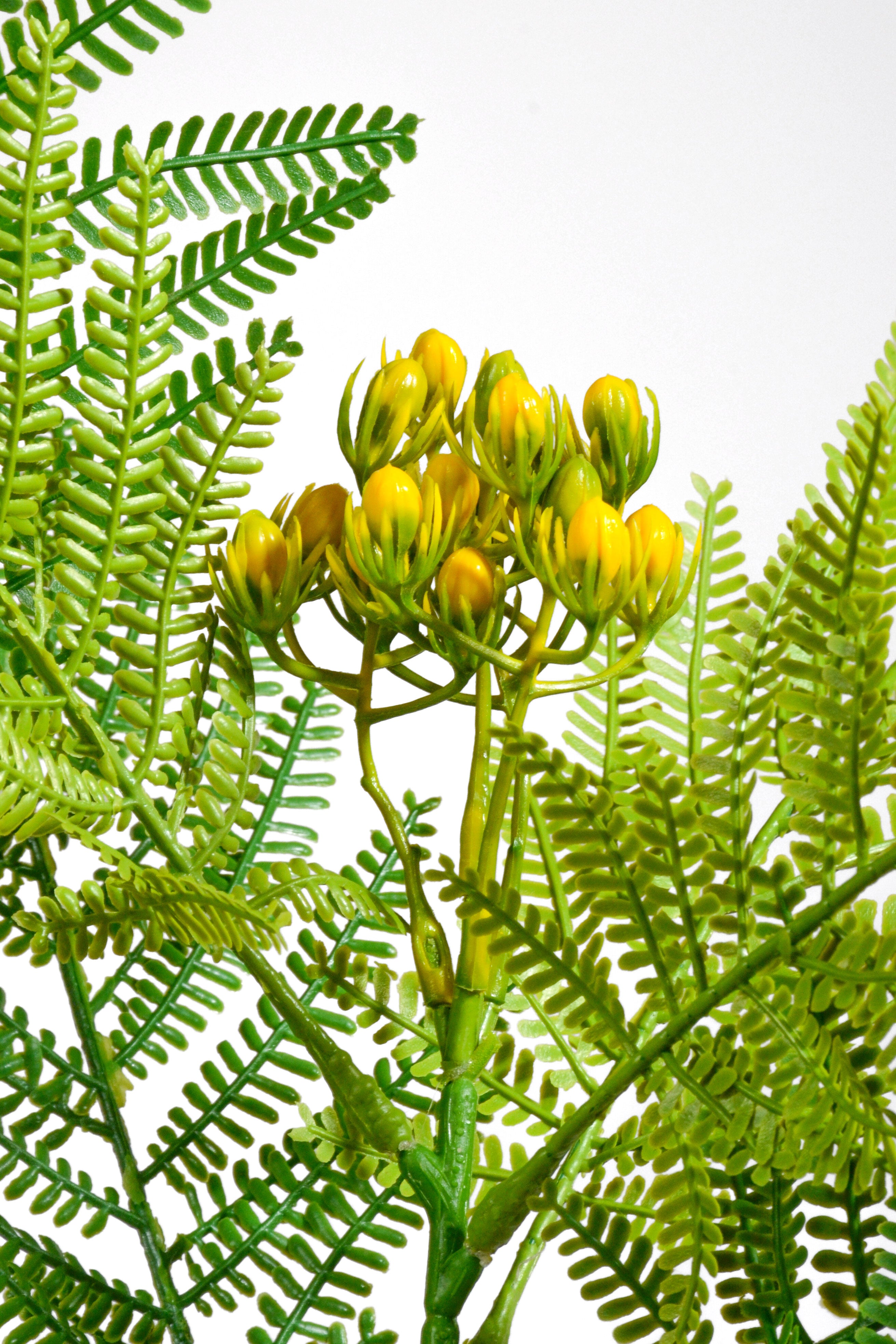 37" Artificial Mimosa Spray Green/Yellow