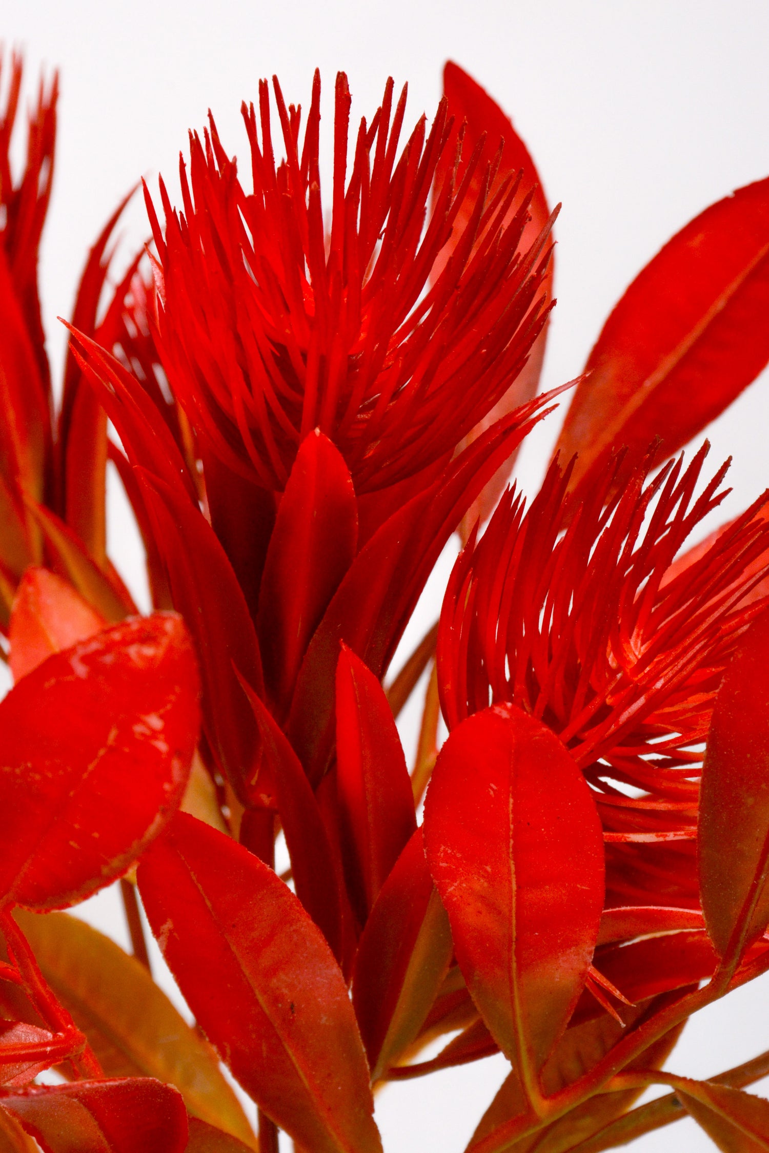 13.75&quot; Artificial Thistle Bush Red