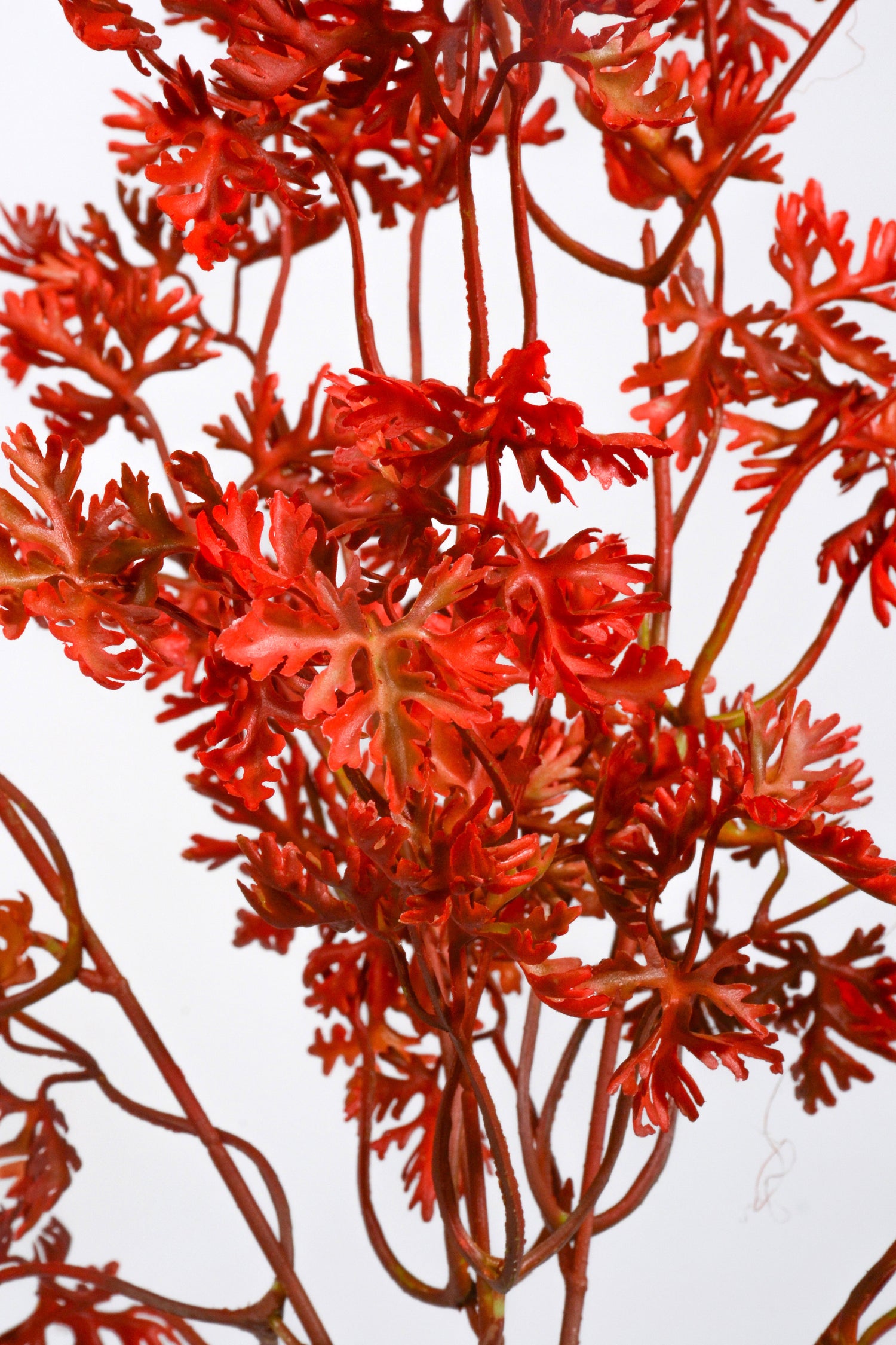 19.5&quot; Artificial French Parsley Bush Red