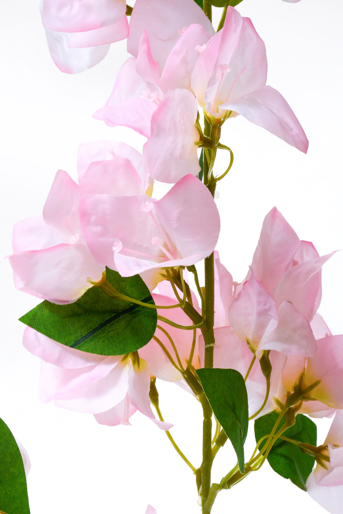 41.5&quot; Silk Bougainvillea Spray Pink