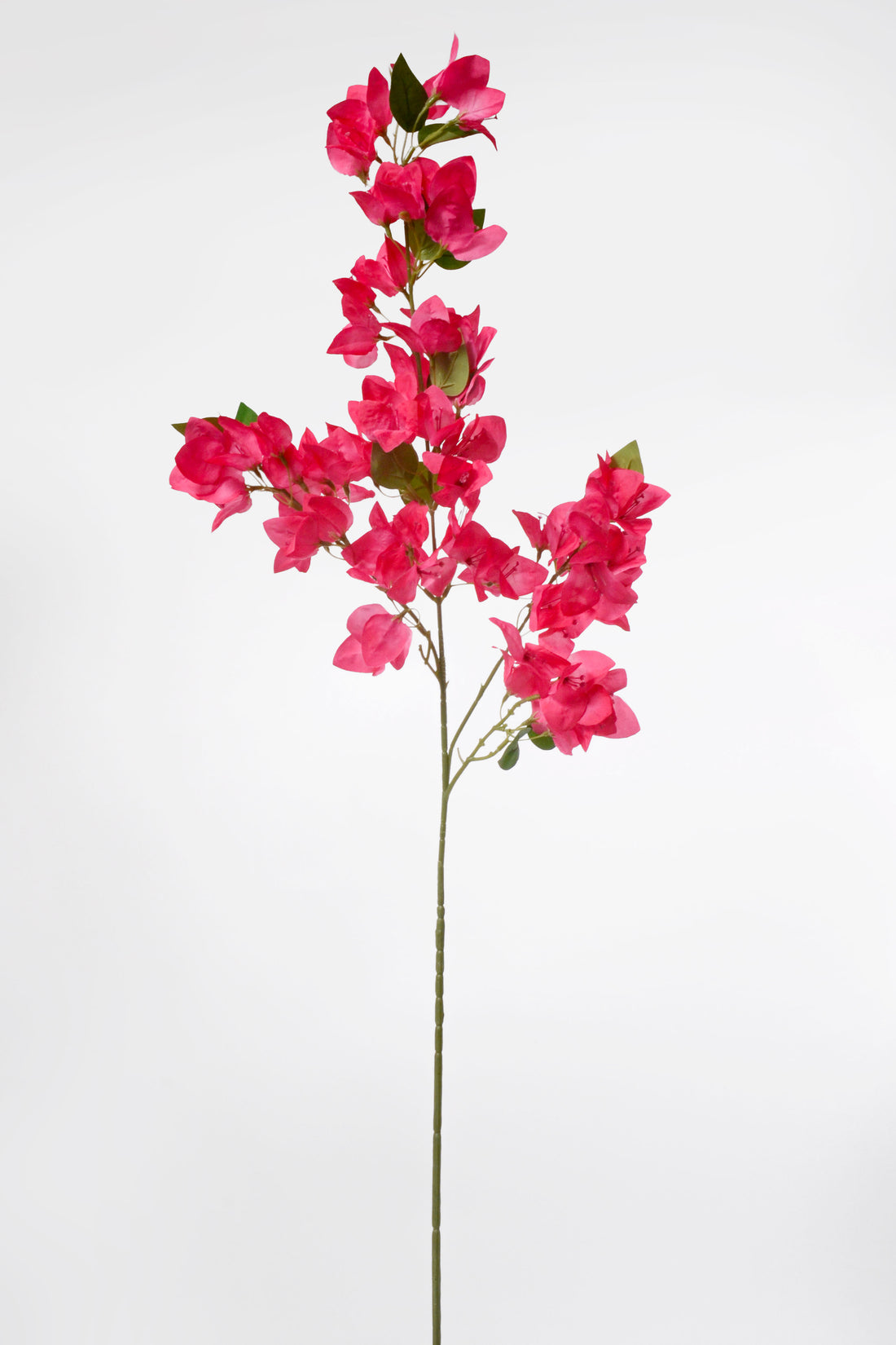 41.5&quot; Silk Bougainvillea Spray Fuchsia