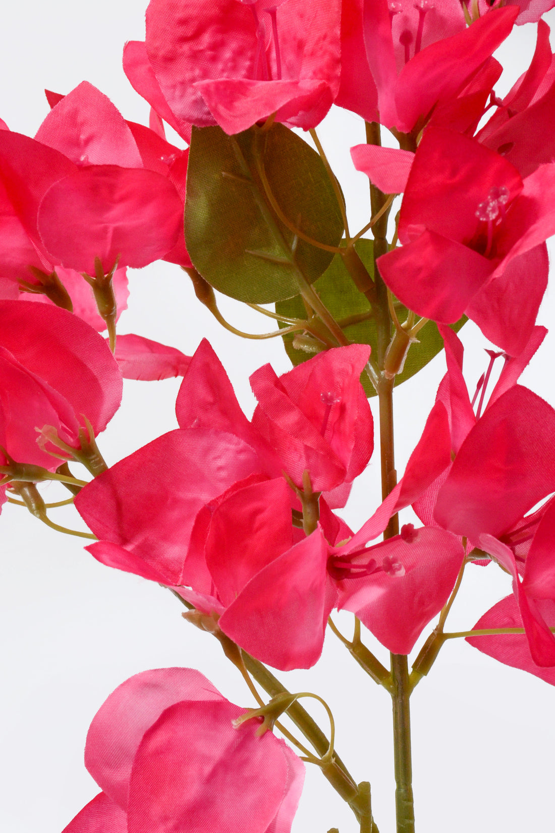 41.5&quot; Silk Bougainvillea Spray Fuchsia