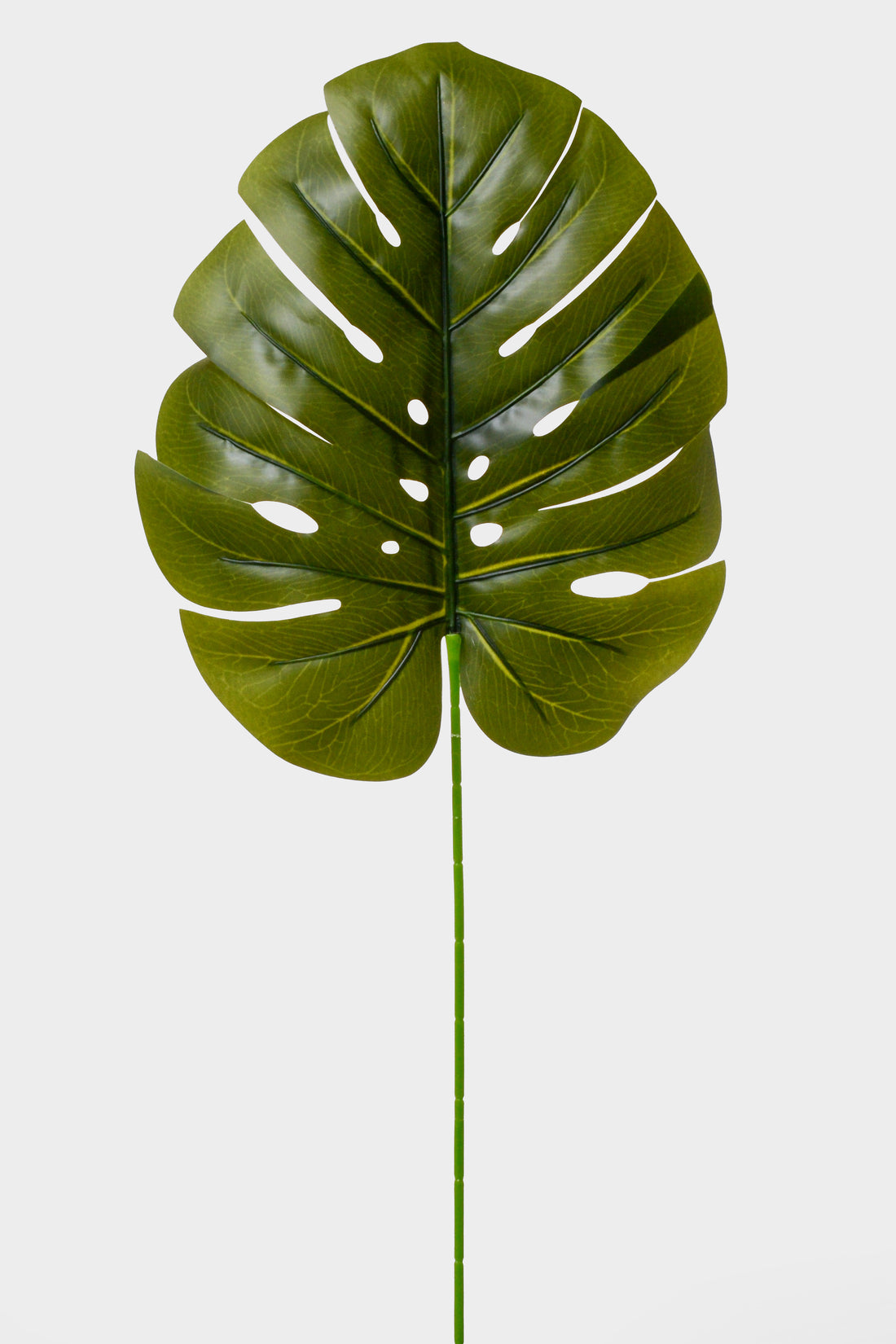32.5" Monstera Leaf Stem