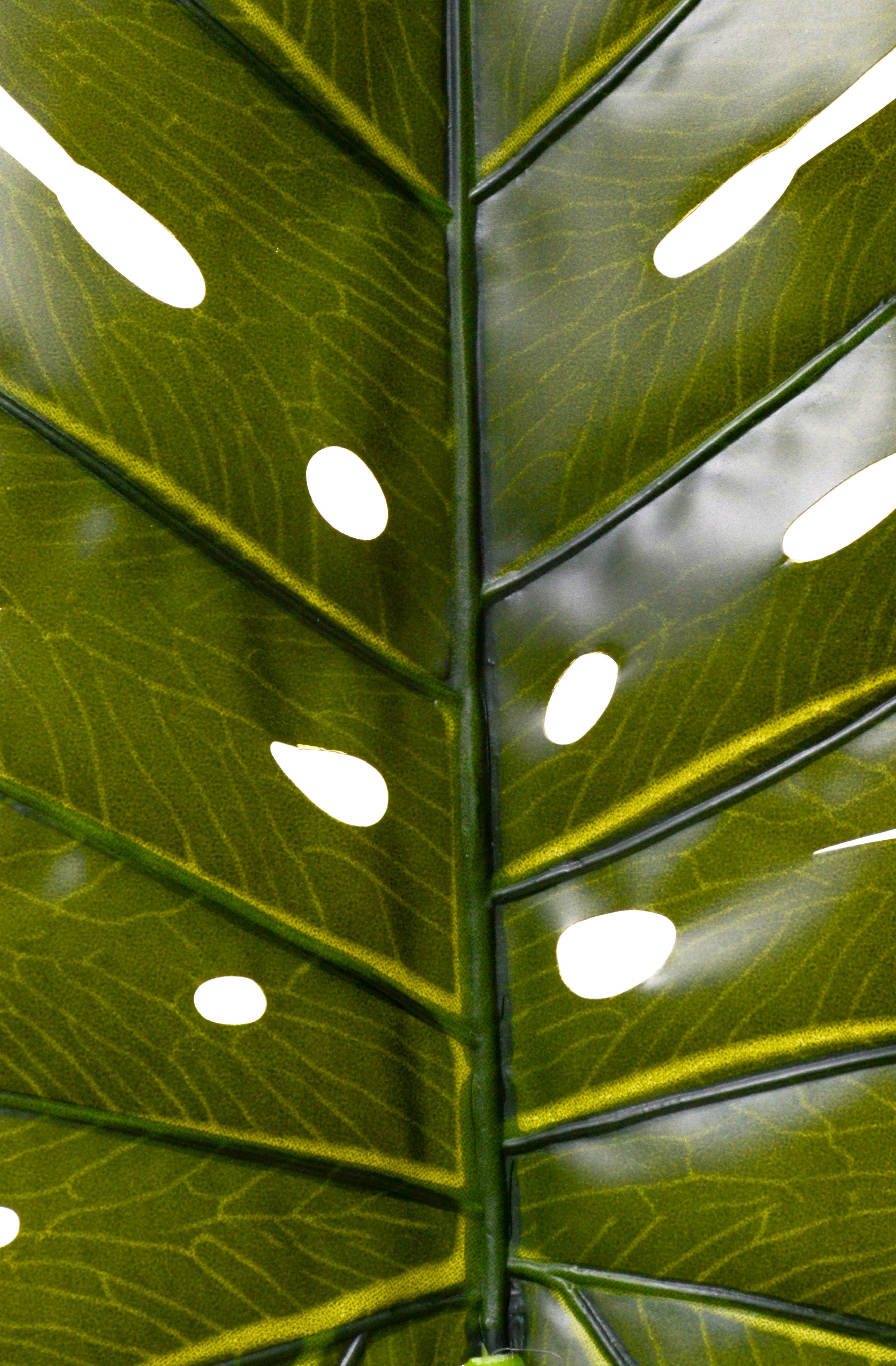 32.5" Monstera Leaf Stem