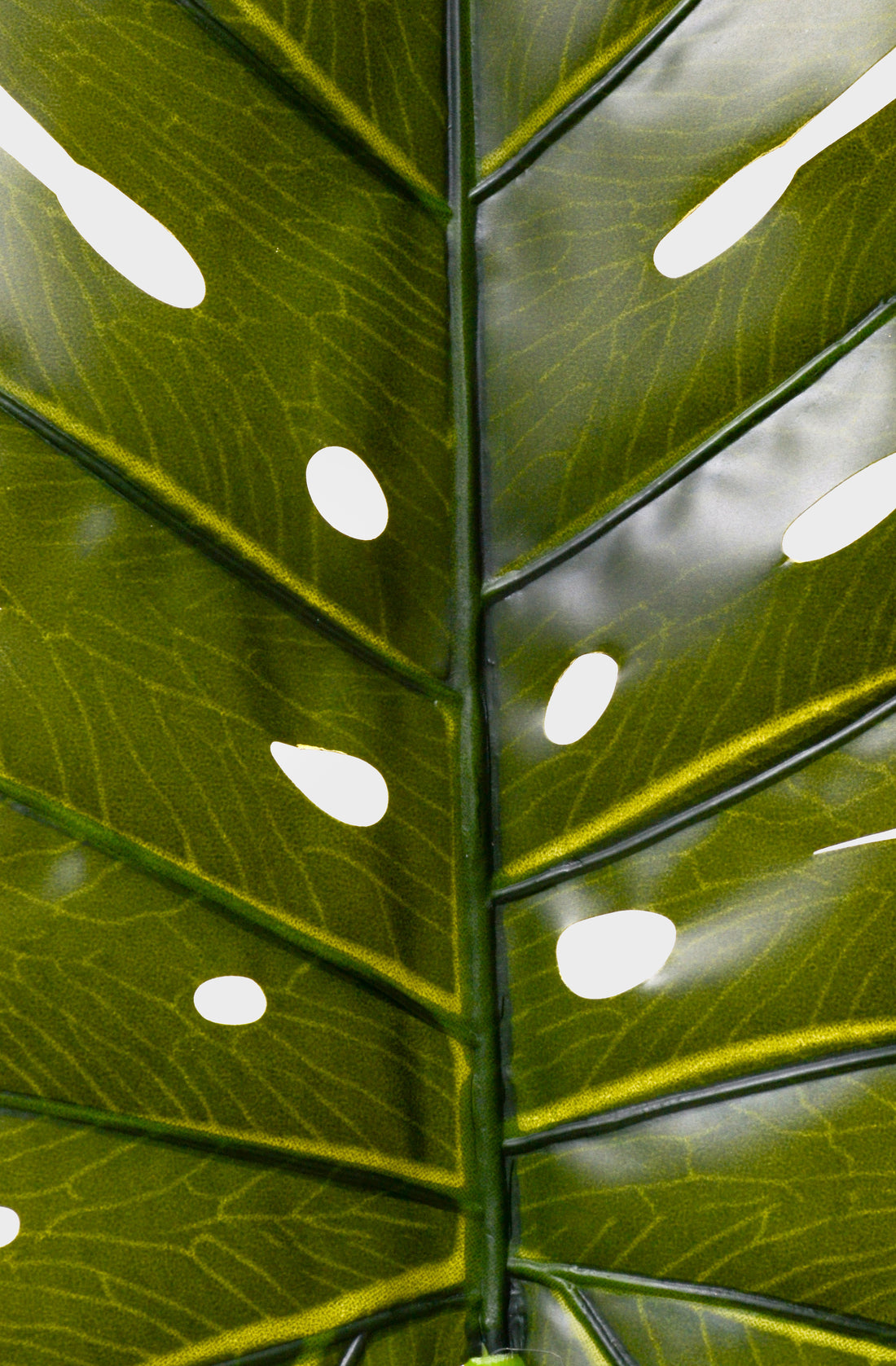 32.5" Monstera Leaf Stem