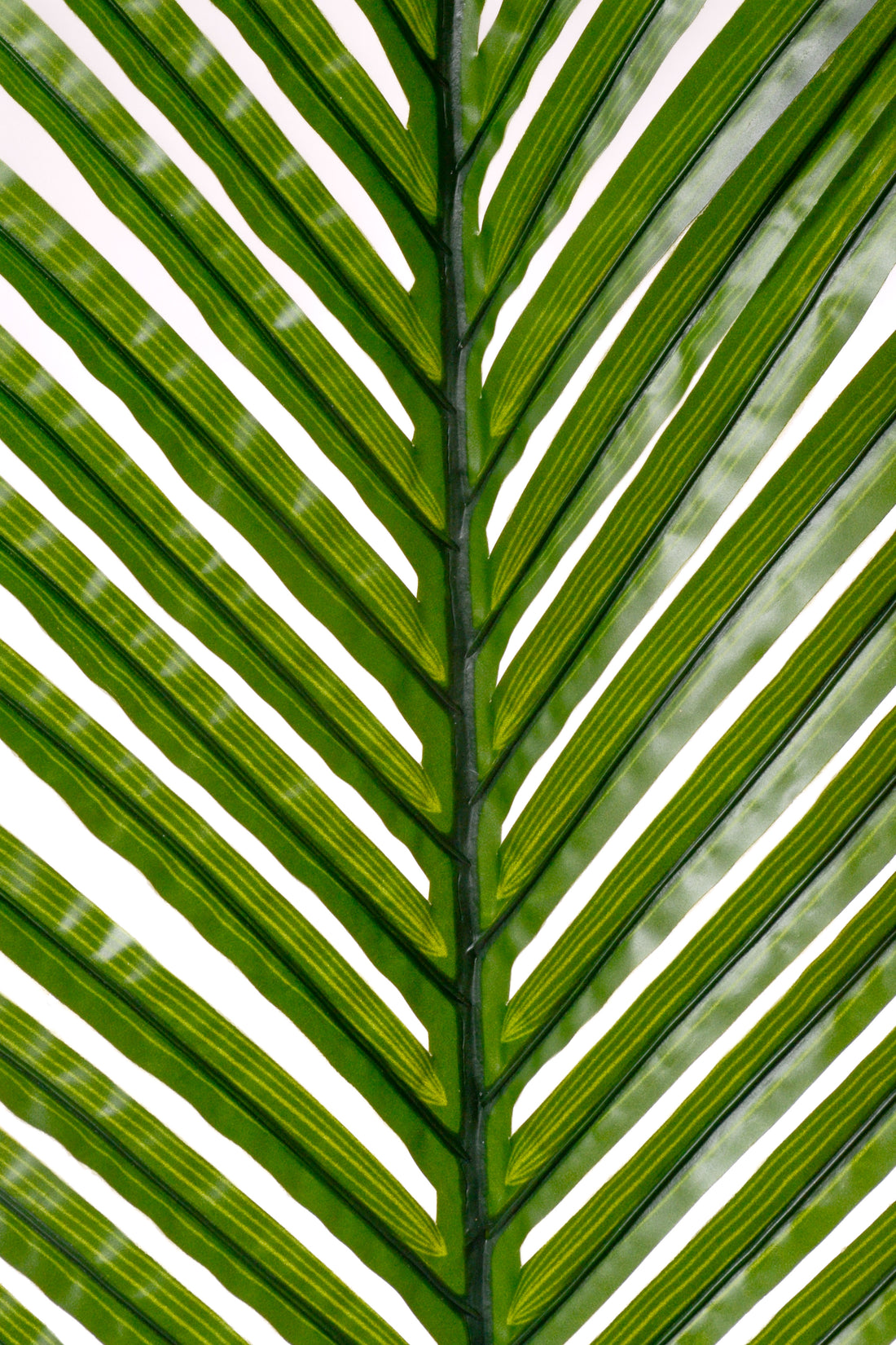35.5" Palm Leaf Stem