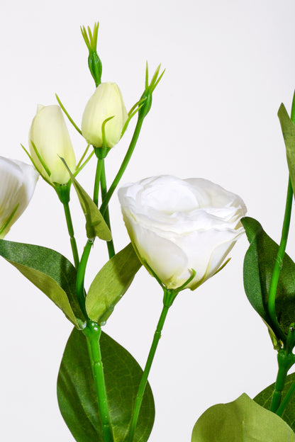 30" Silk Lisianthus Spray White