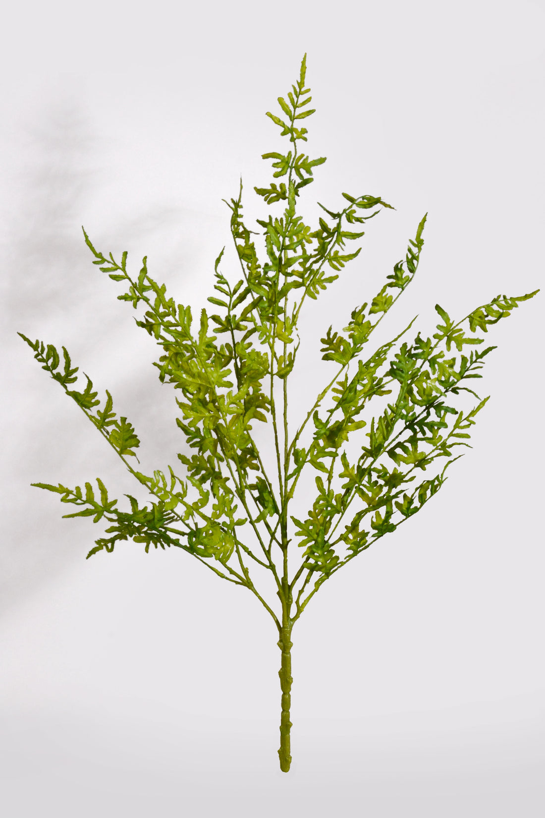 29&quot; Artificial Pteridaceae Bush Green