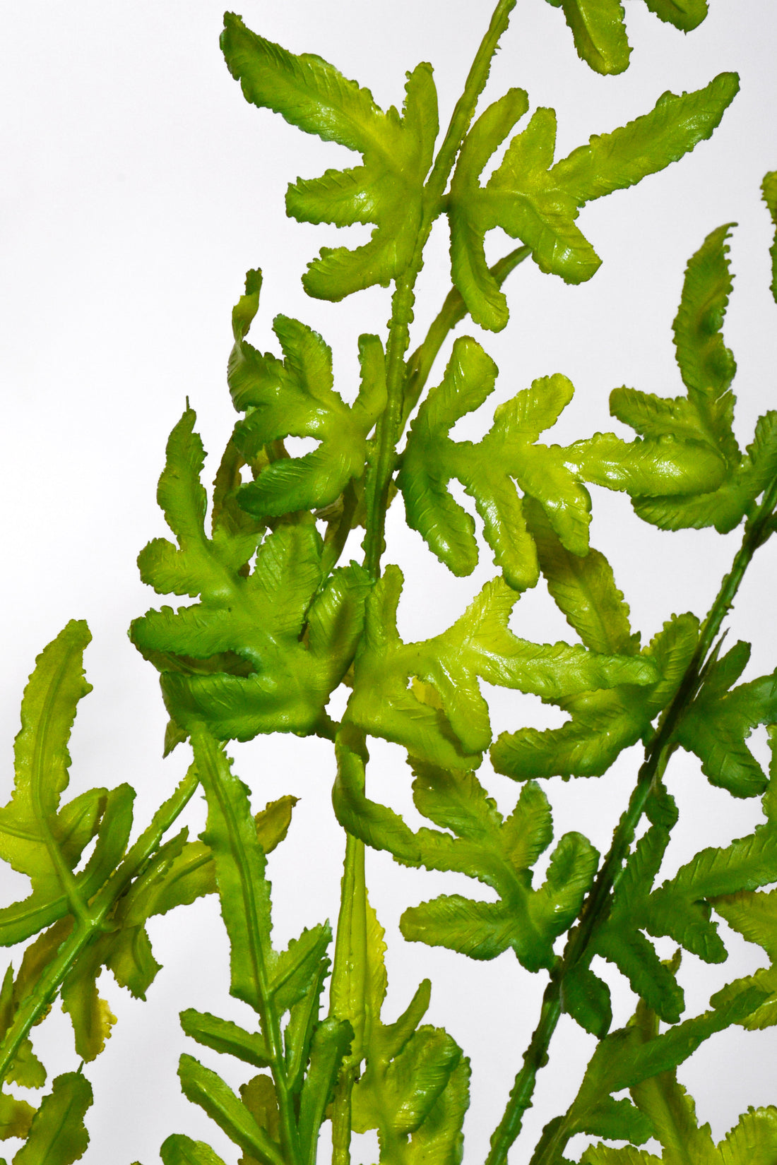 29&quot; Artificial Pteridaceae Bush Green