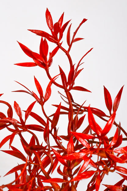 39.5" Artificial Ambrosia Leaf Spray Red