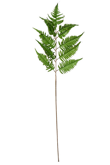 51" New York Fern Leaf Spray Green